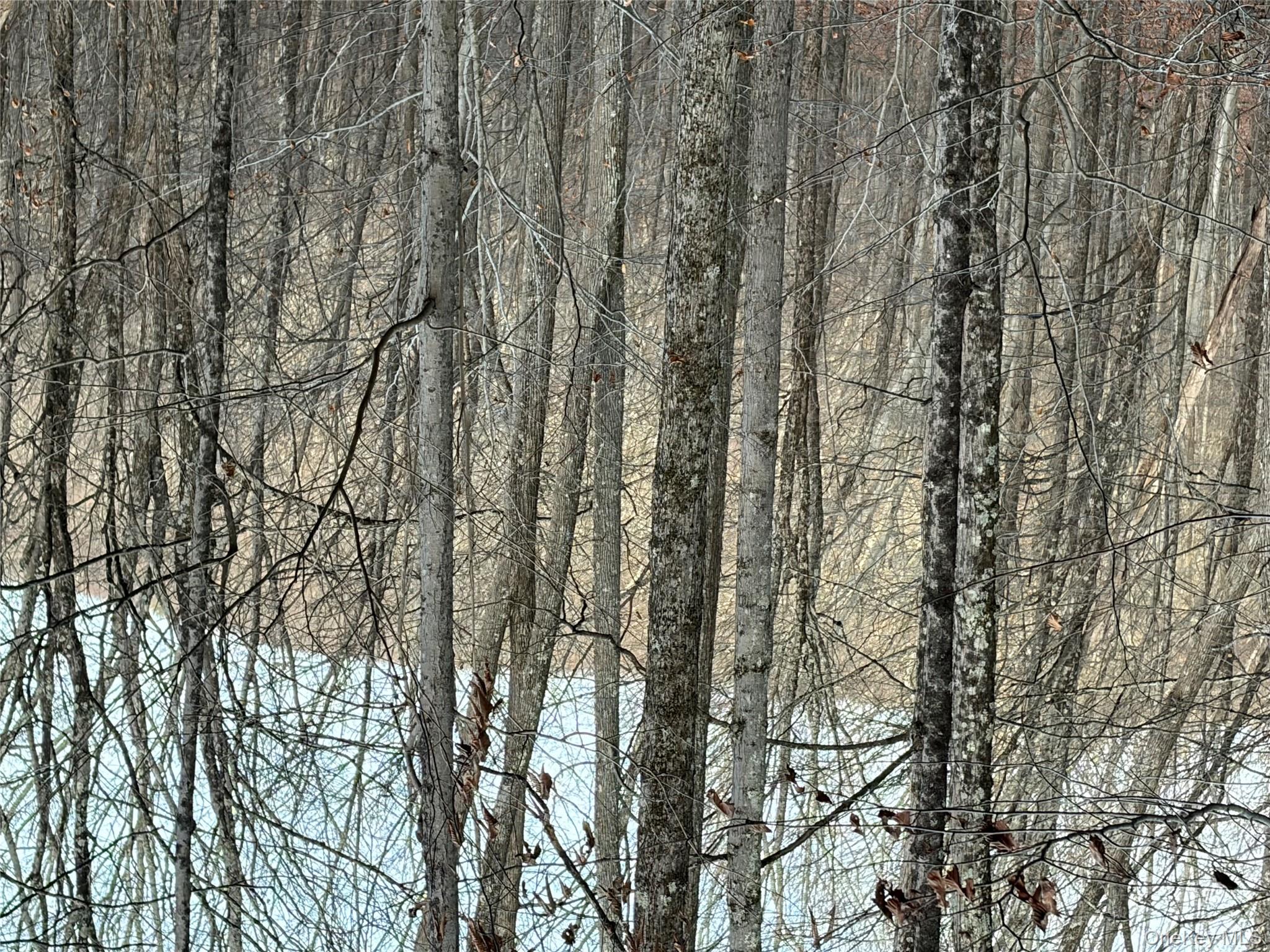 X Aldrich Road, Wurtsboro, NY 12790