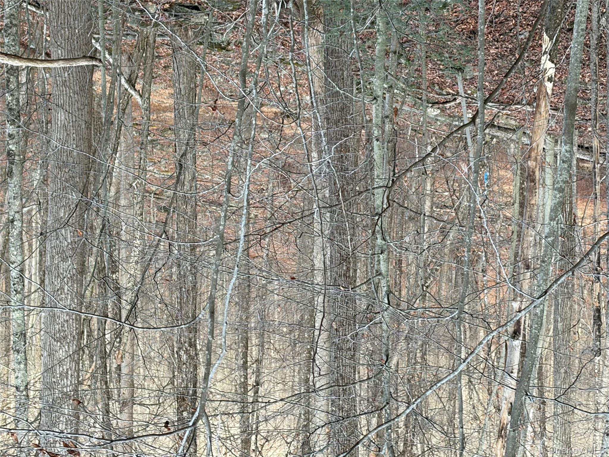 X Aldrich Road, Wurtsboro, NY 12790