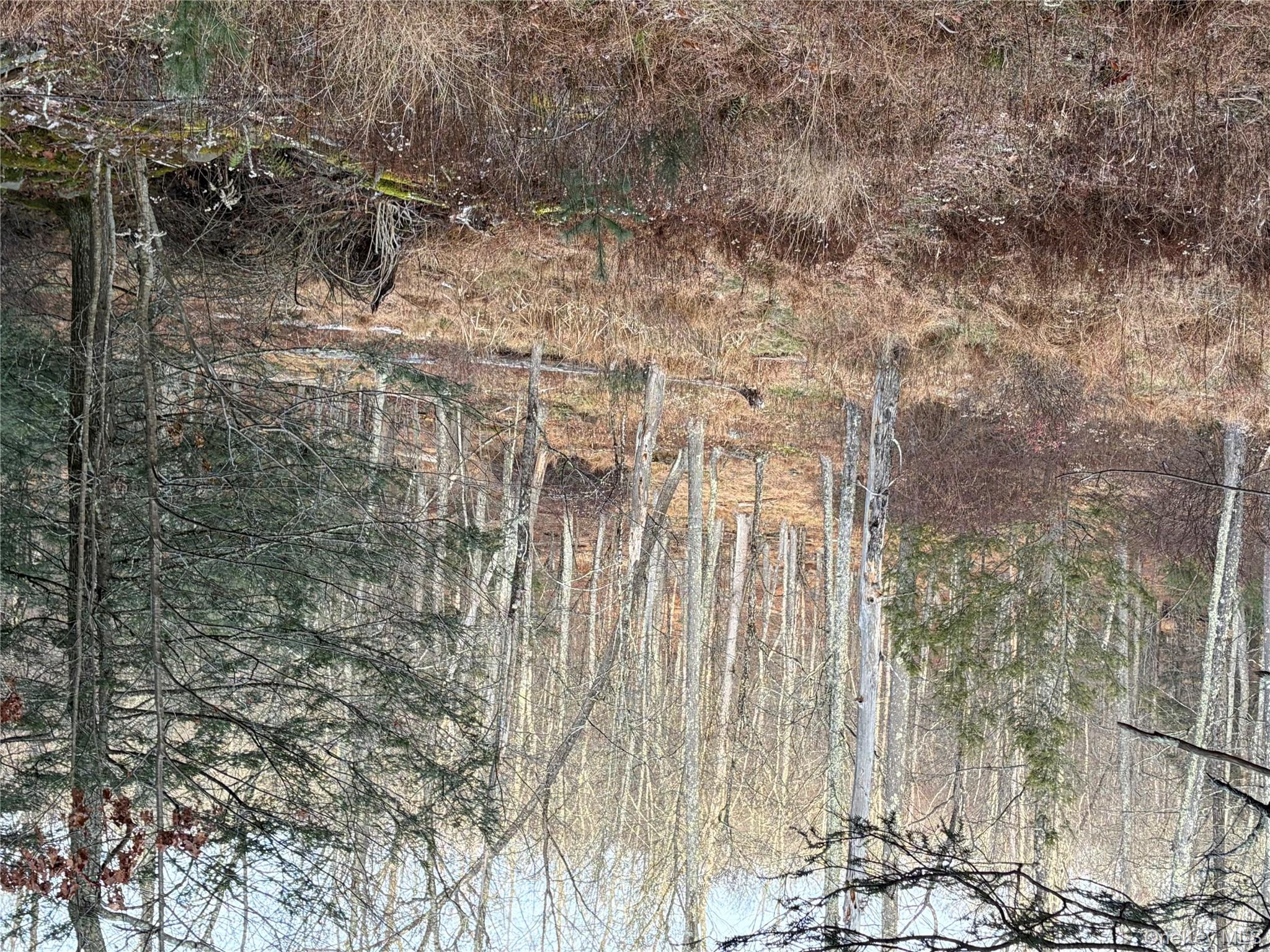 X Aldrich Road, Wurtsboro, NY 12790