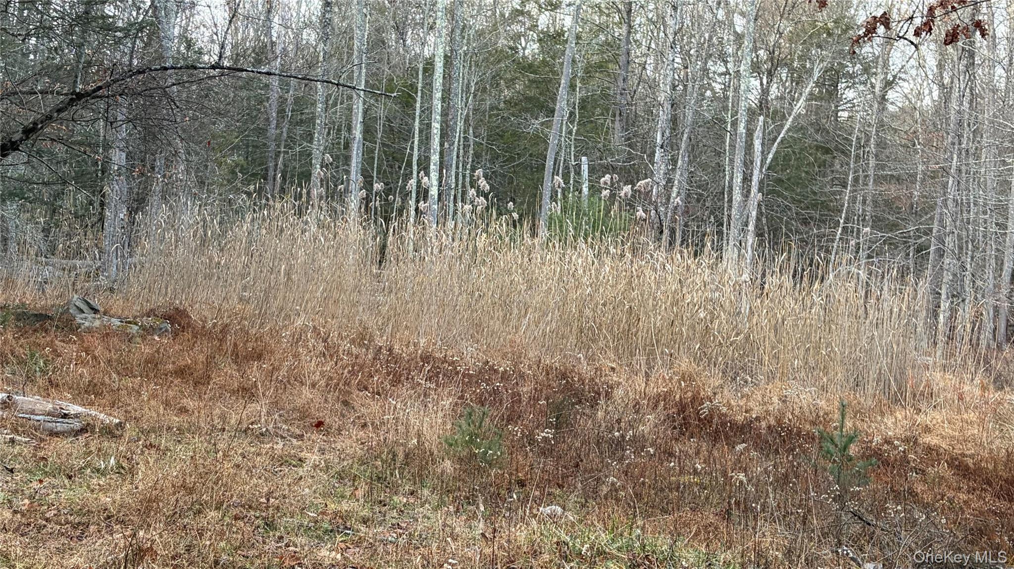 X Aldrich Road, Wurtsboro, NY 12790