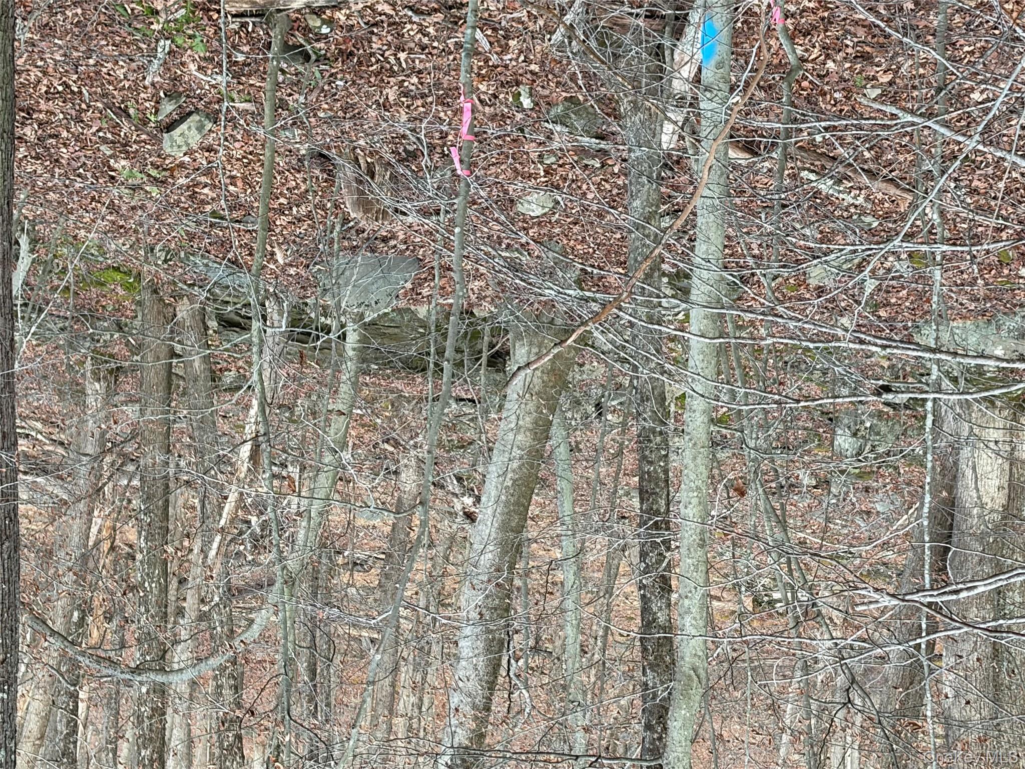 X Aldrich Road, Wurtsboro, NY 12790