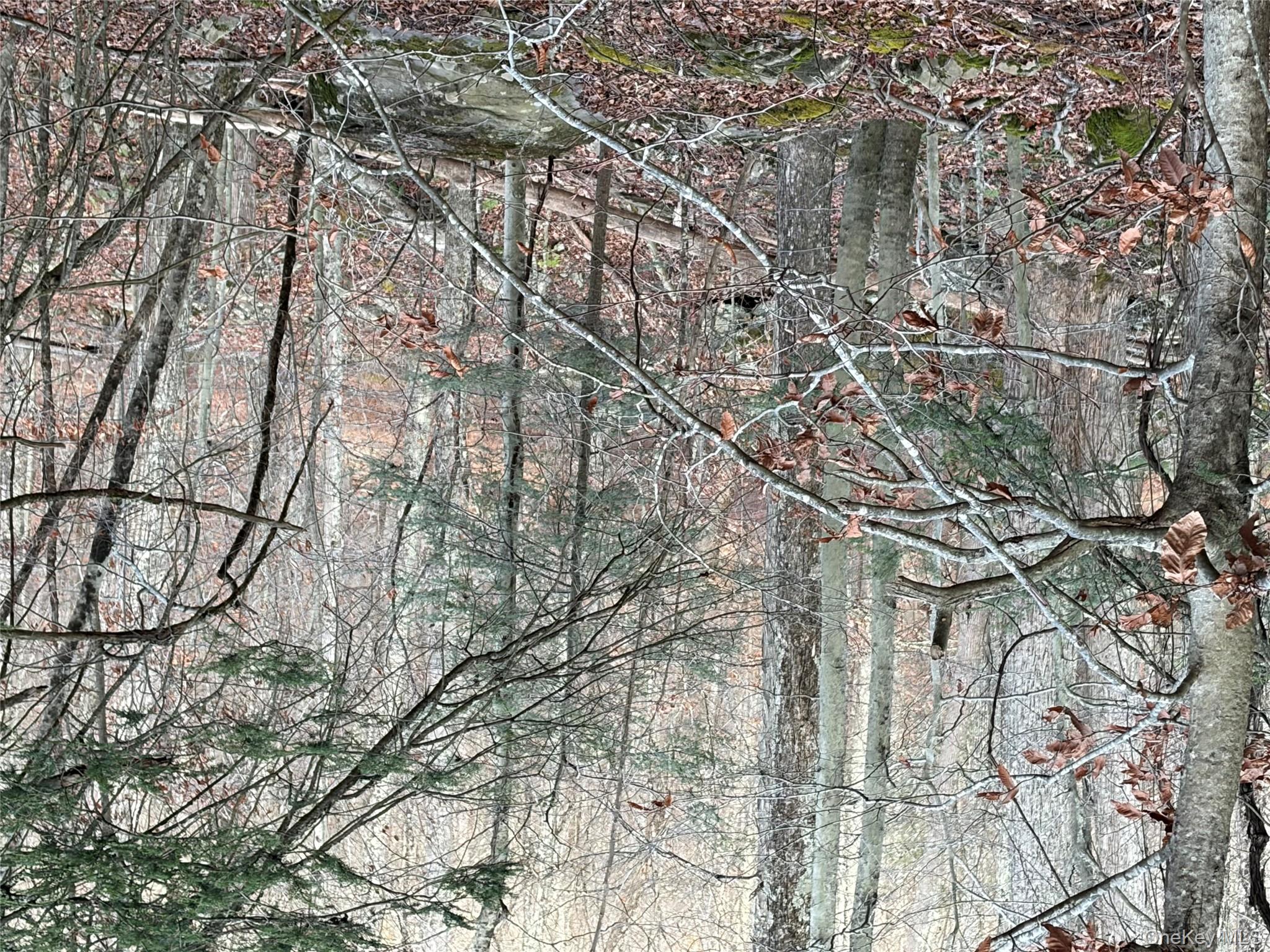 X Aldrich Road, Wurtsboro, NY 12790