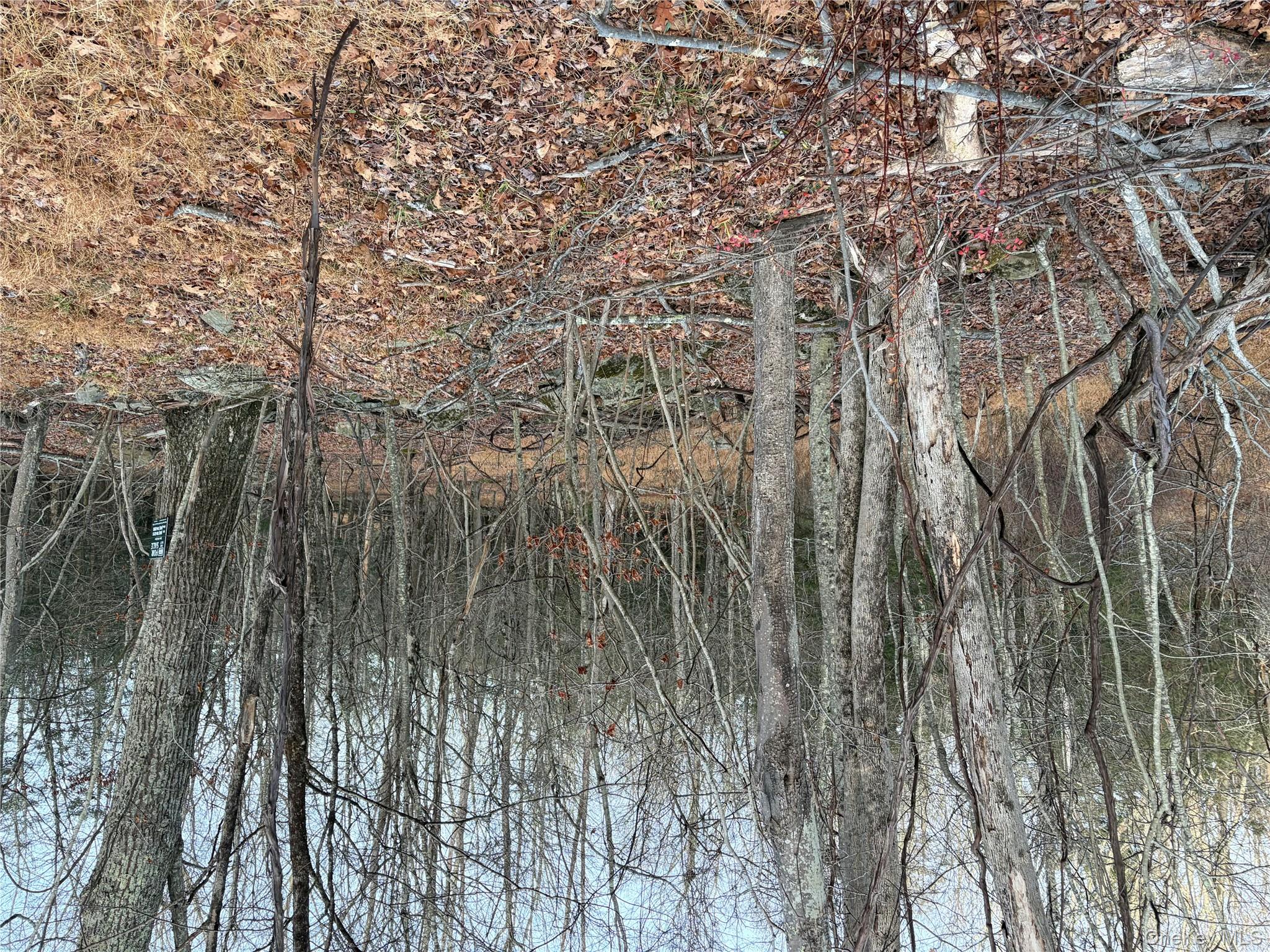 X Aldrich Road, Wurtsboro, NY 12790