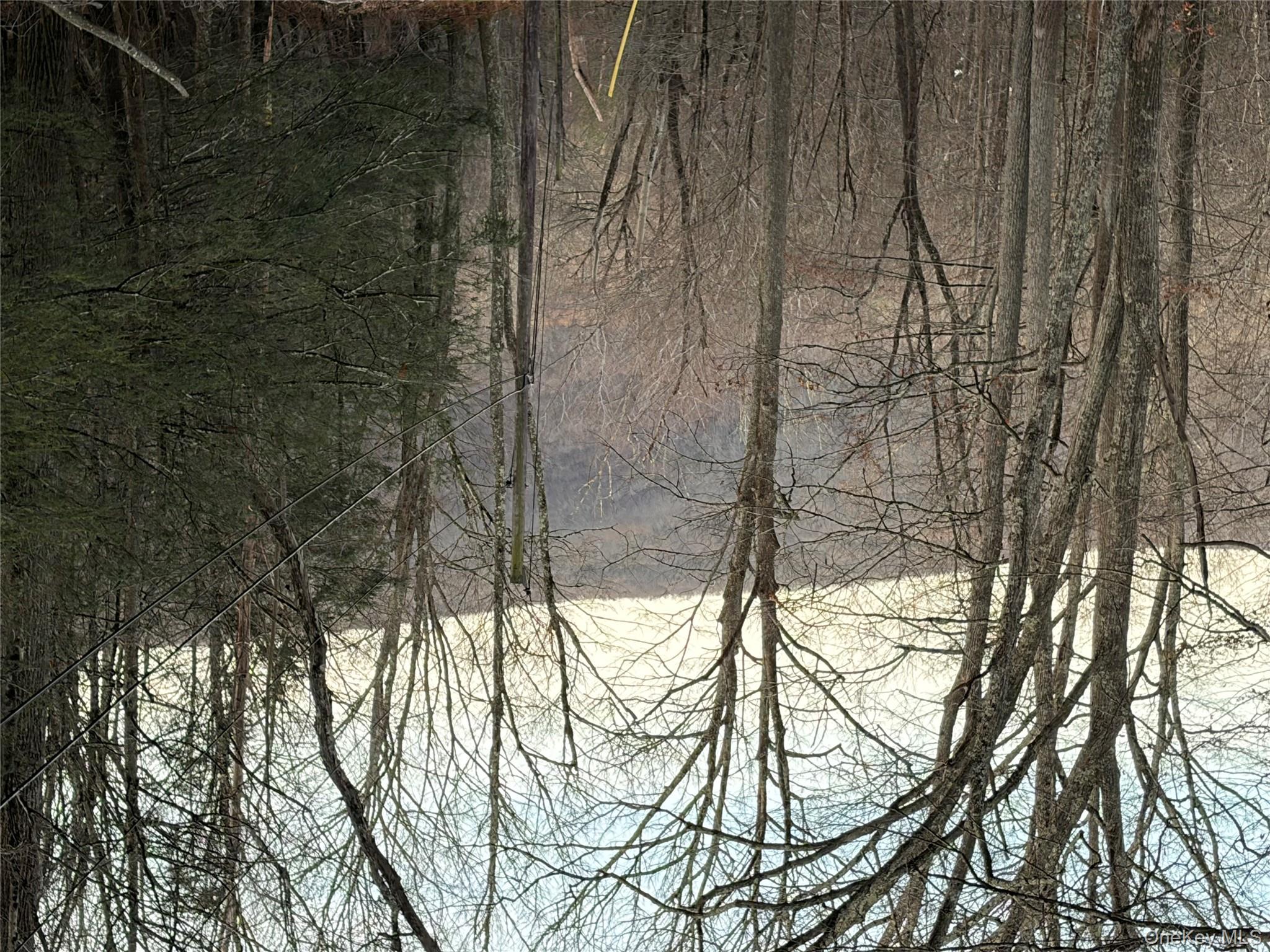 X Aldrich Road, Wurtsboro, NY 12790