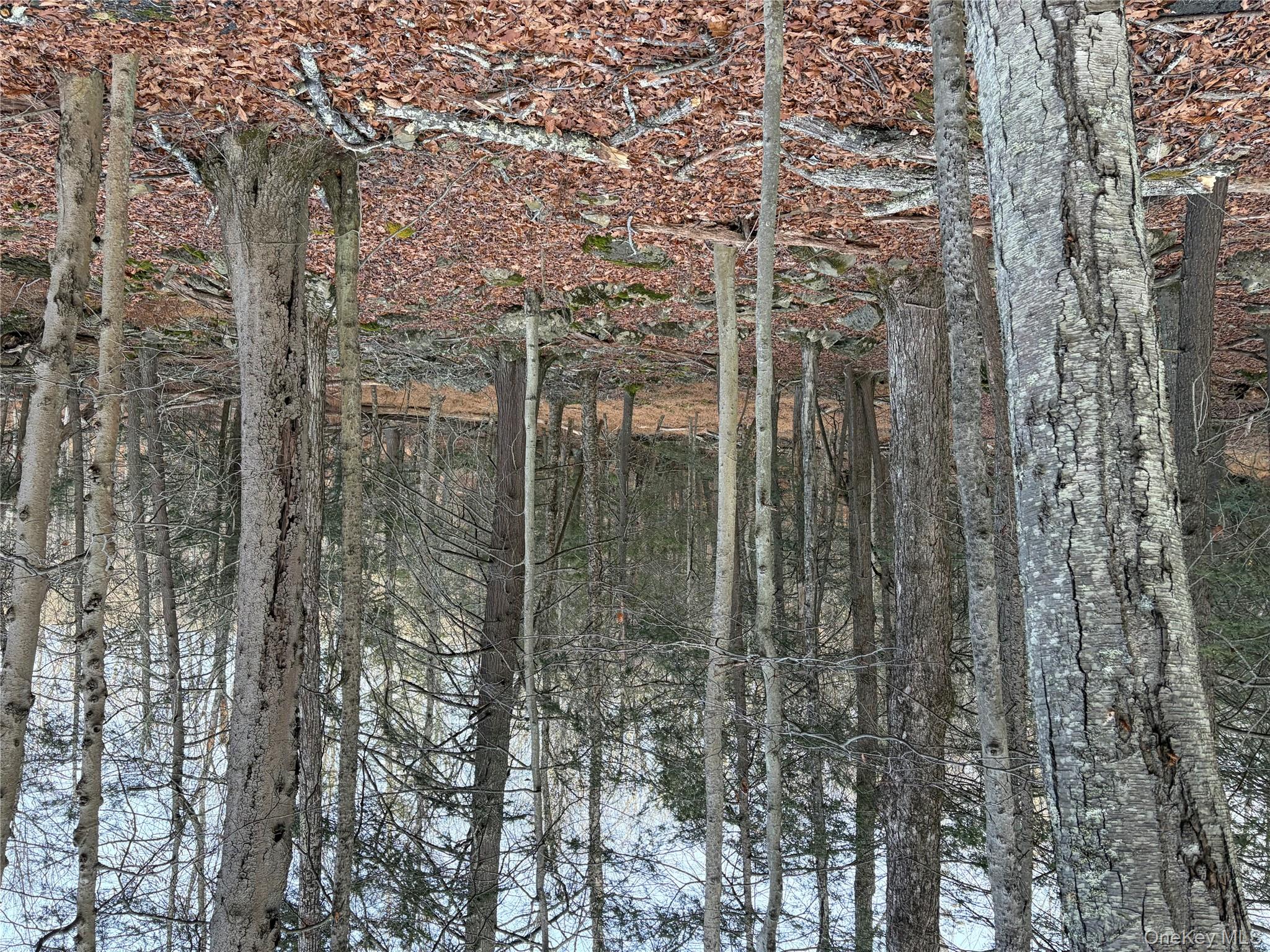 X Aldrich Road, Wurtsboro, NY 12790