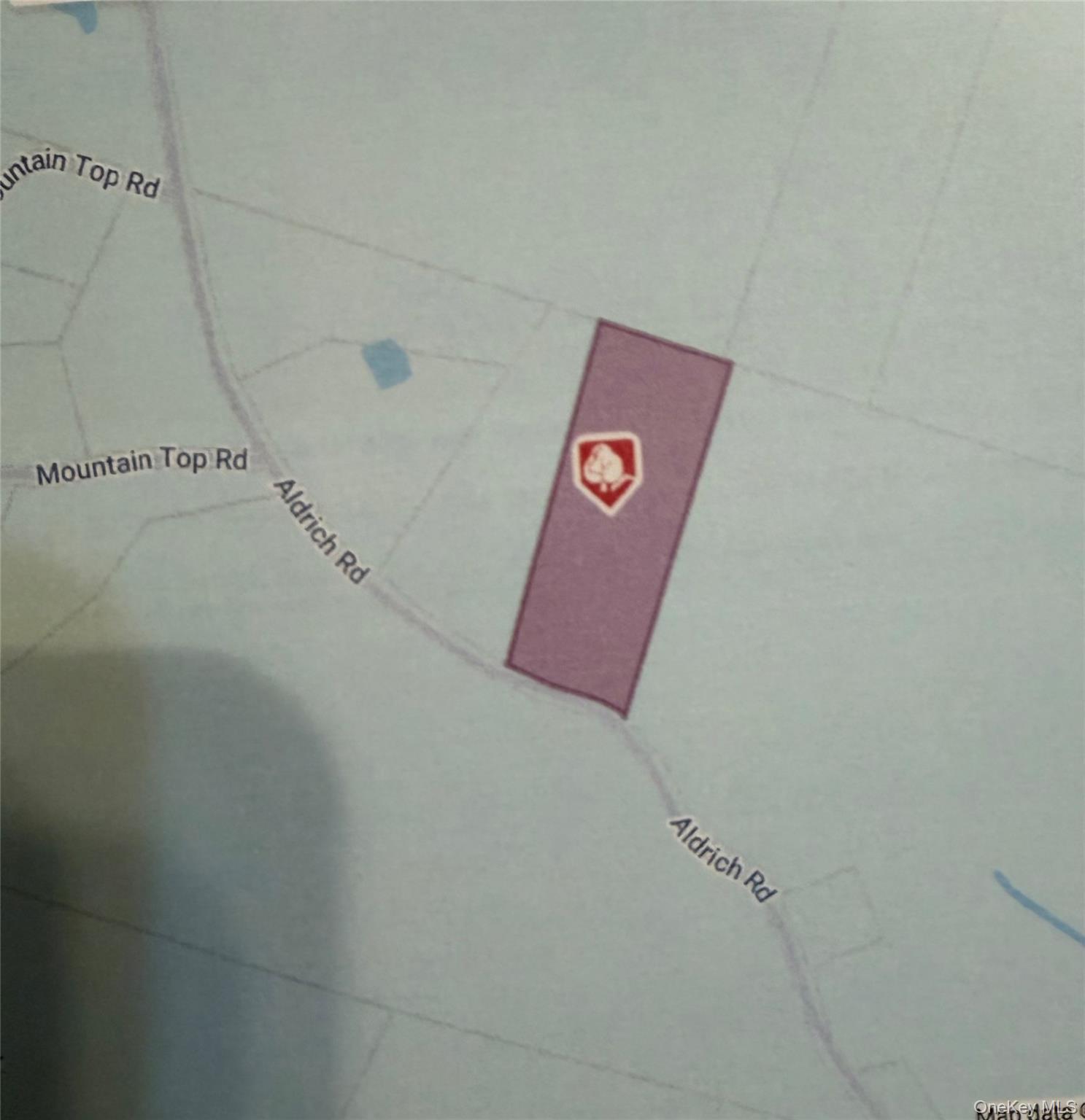 X Aldrich Road, Wurtsboro, NY 12790