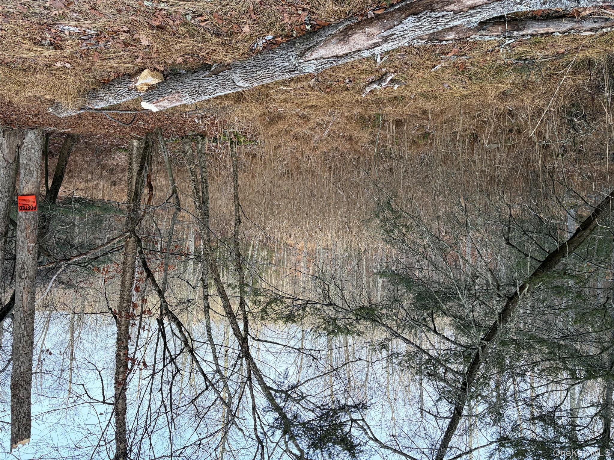 X Aldrich Road, Wurtsboro, NY 12790