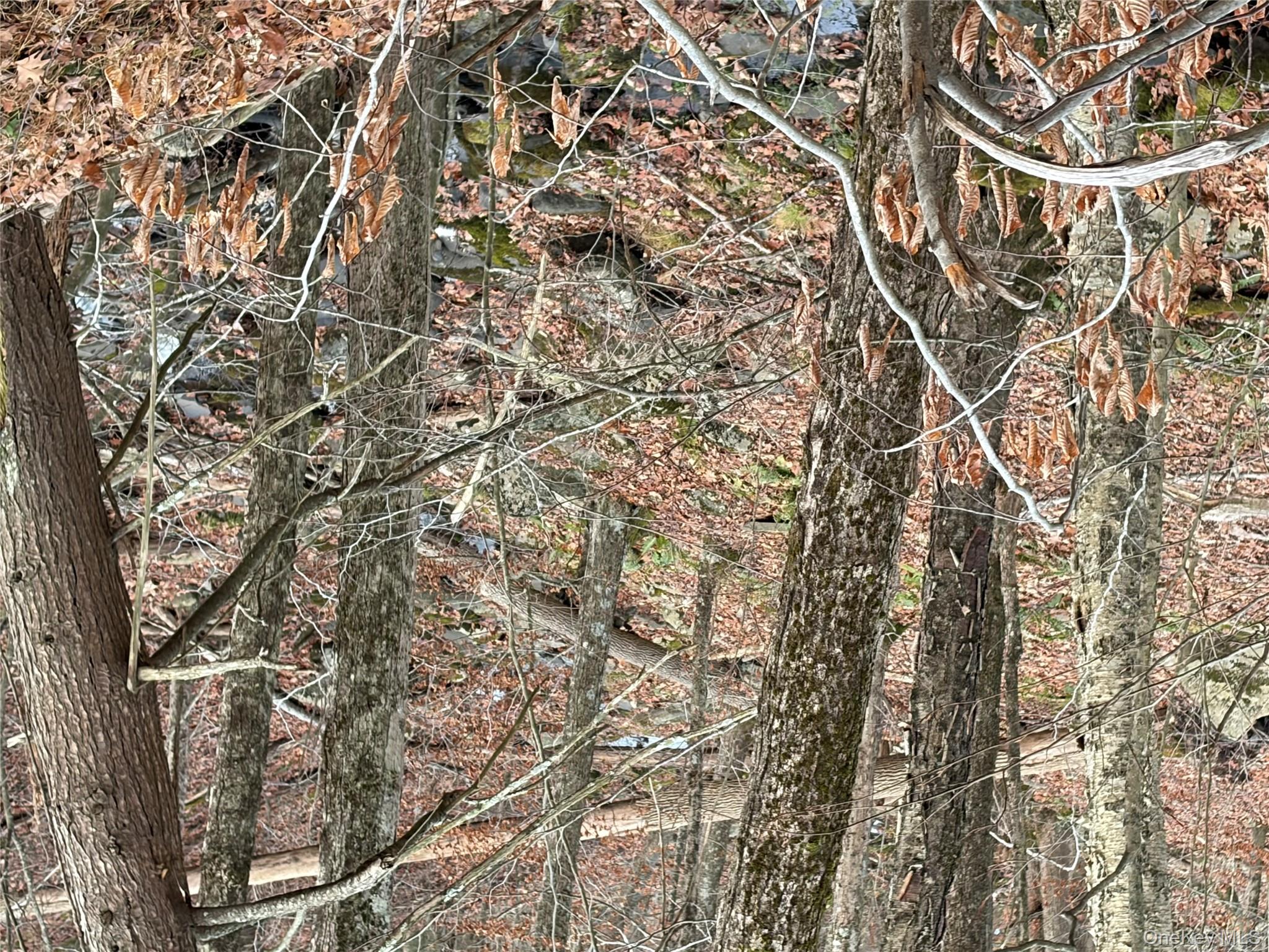 X Aldrich Road, Wurtsboro, NY 12790