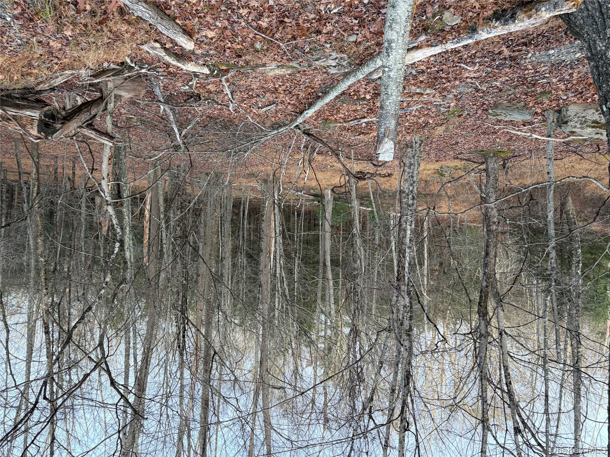 X Aldrich Road, Wurtsboro, NY 12790