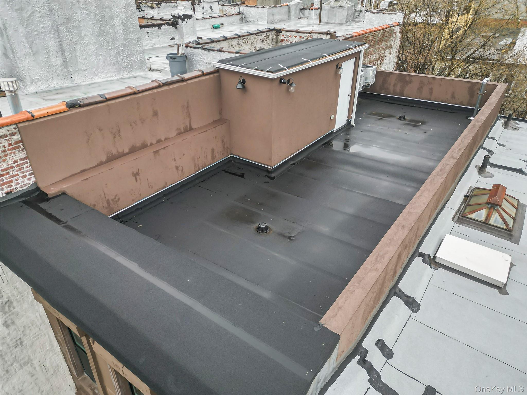 479 Hancock Street, Brooklyn, NY 11233