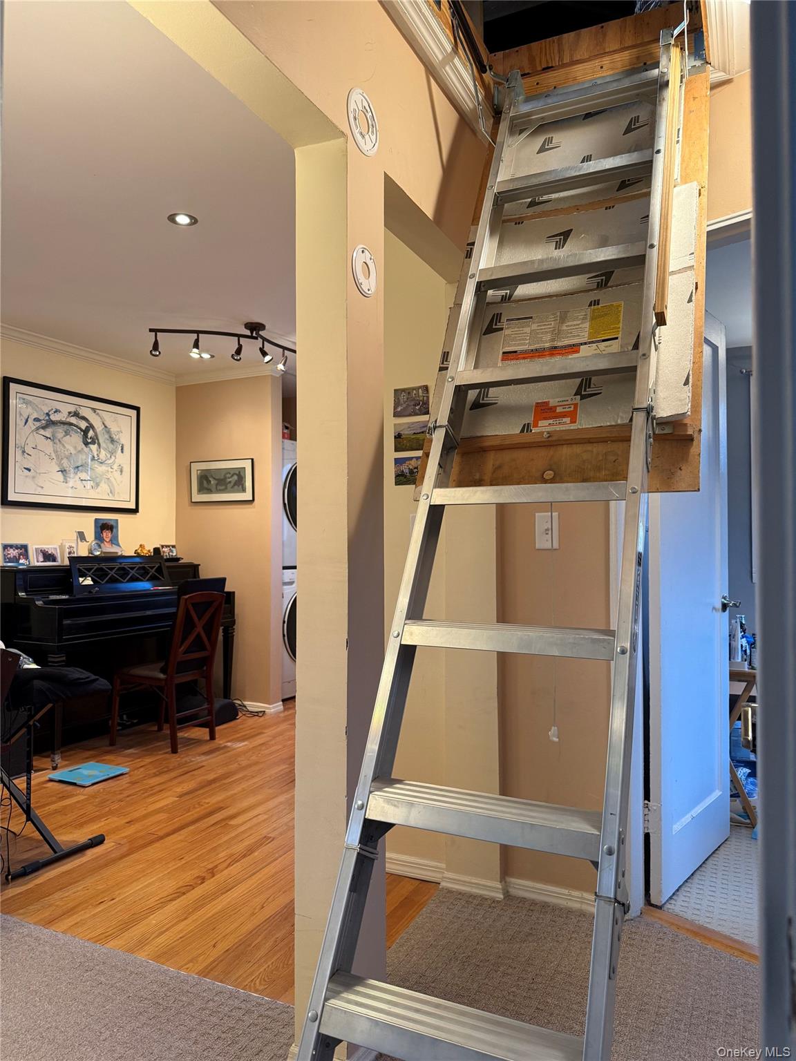 245-48 62nd Avenue # Upper 2/3BR, Douglaston, NY 11362