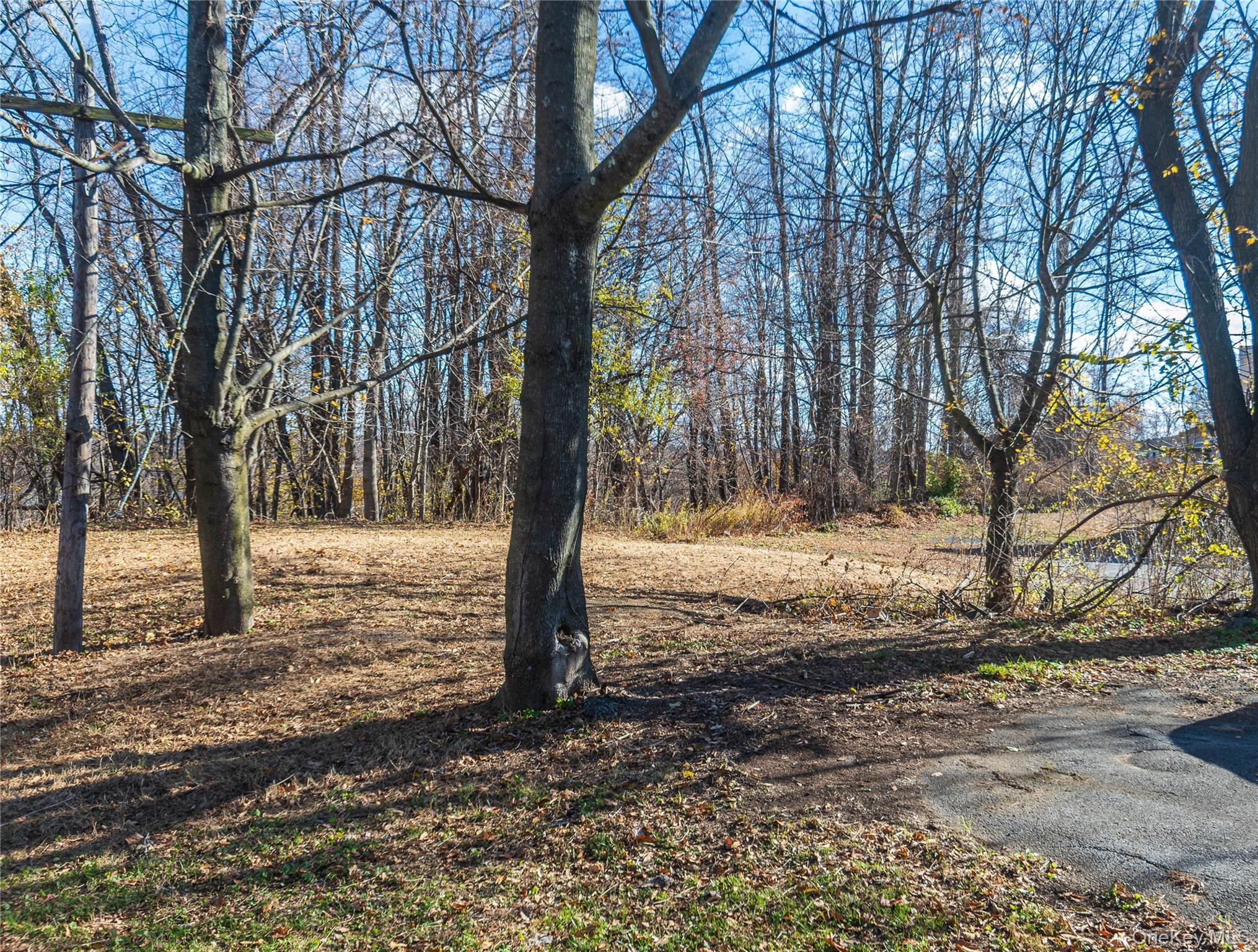 147 Broadway # 9W, Port Ewen, NY 12466