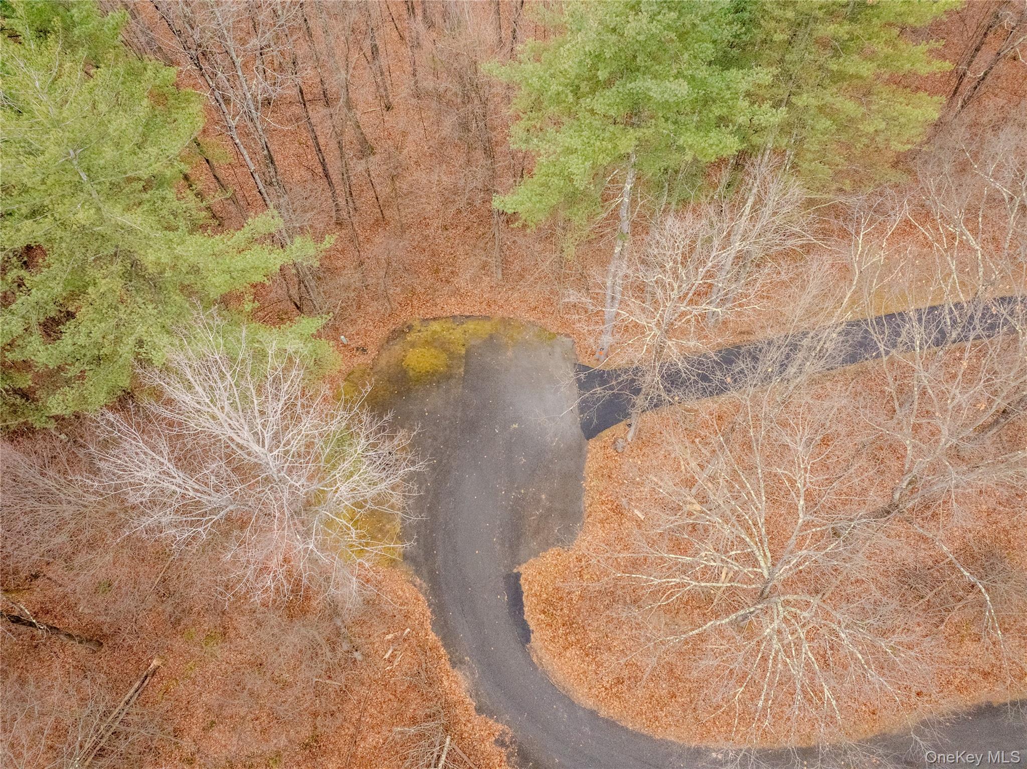 1D Margherita Drive, Pawling, NY 12564