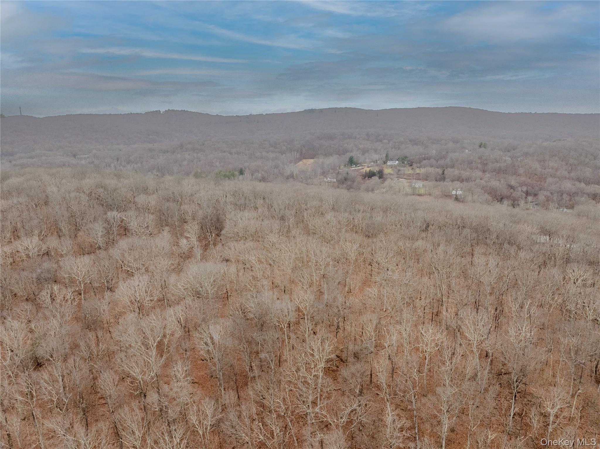 1D Margherita Drive, Pawling, NY 12564