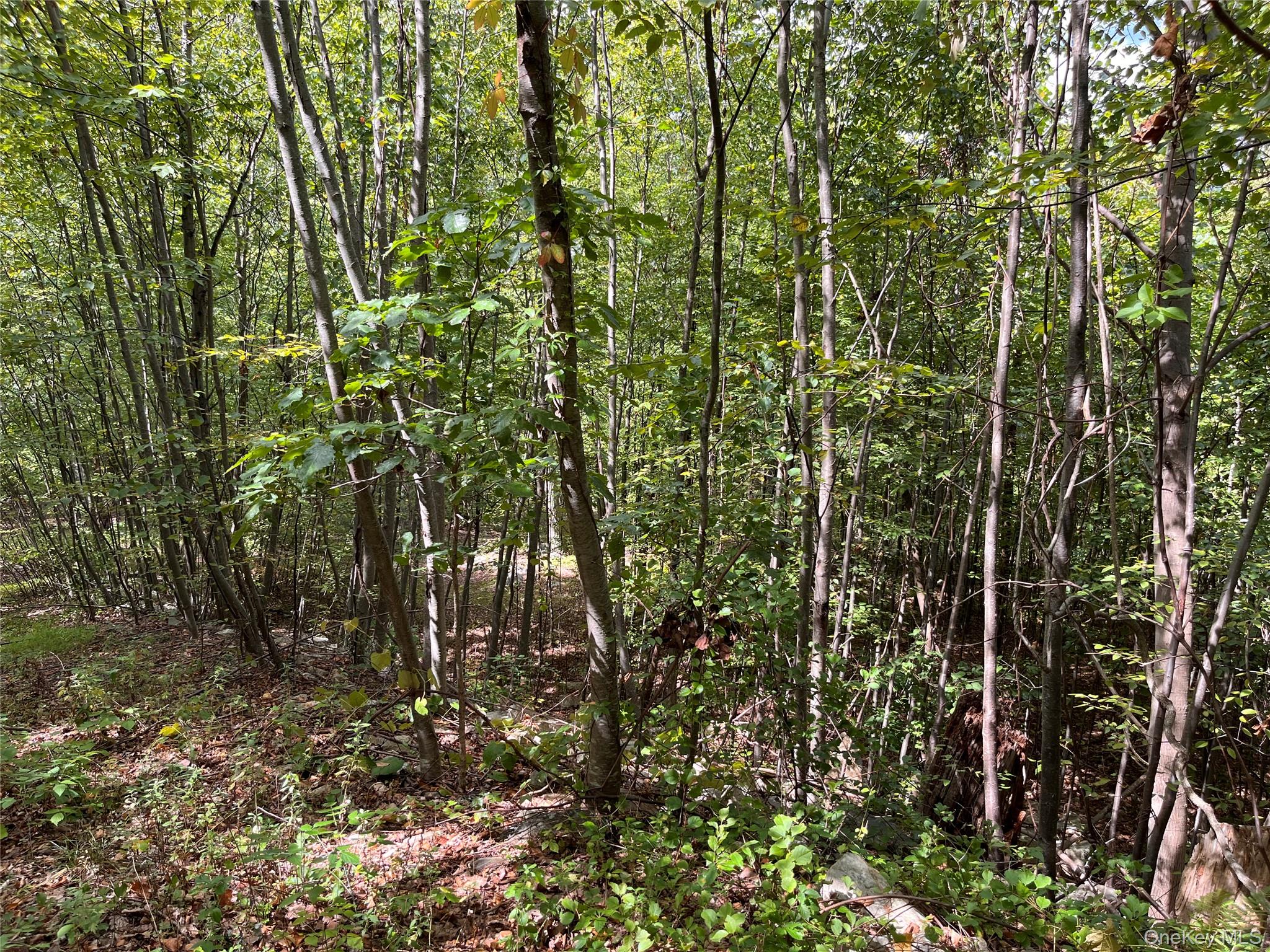 31 Ridgecrest Road, Lake Peekskill, NY 10537