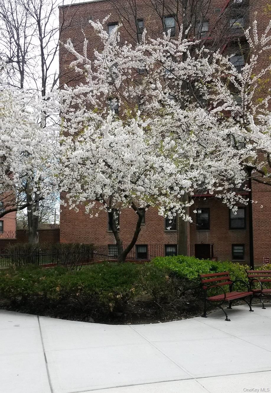 150-29 72 Garden # 3L, Kew Garden Hills, NY 11367