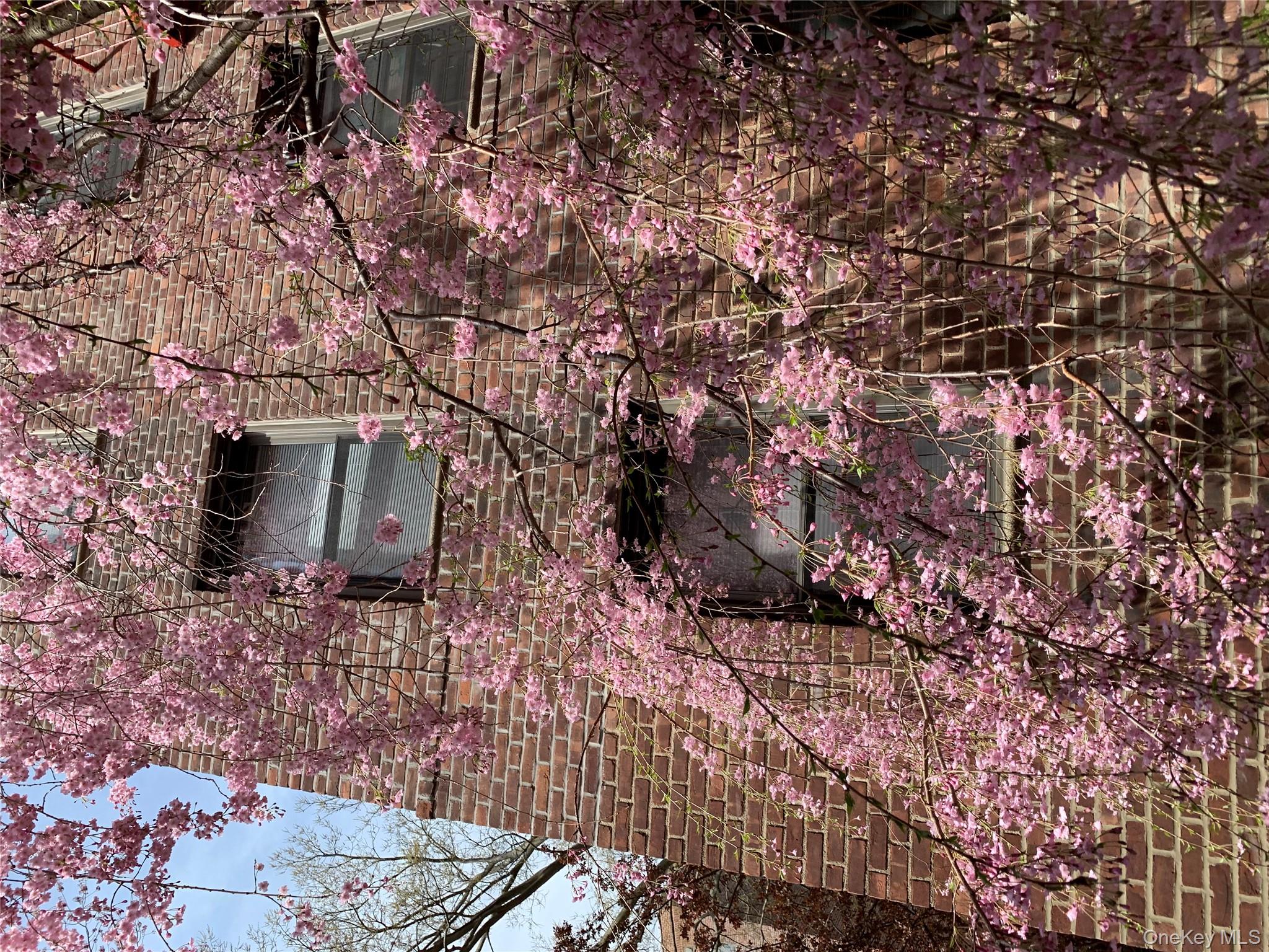 150-29 72 Garden # 3L, Kew Garden Hills, NY 11367