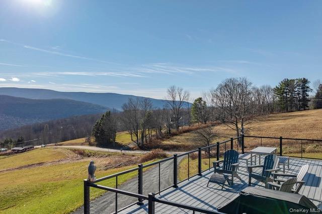 130 Hanley Road, Fleischmanns, NY 12430