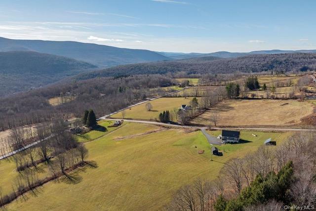 130 Hanley Road, Fleischmanns, NY 12430