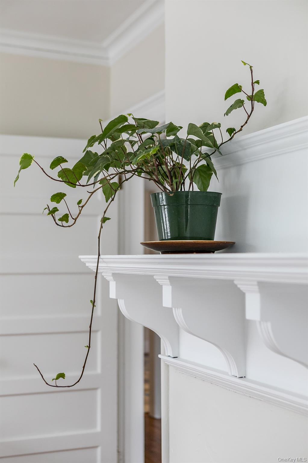 2 S Pine Avenue, Colonie, NY 12208