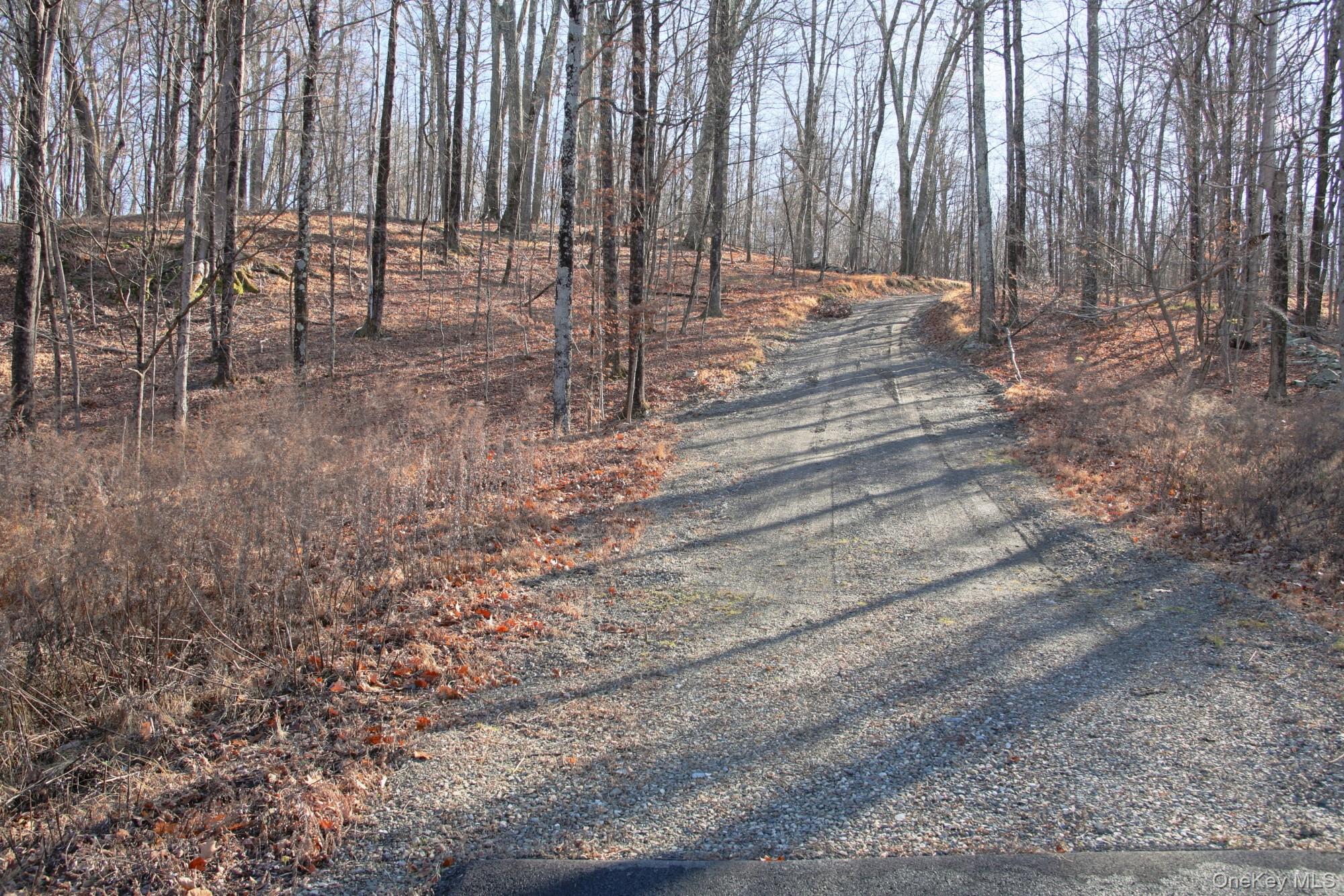 Electronics Road, Clinton Corners, NY 12514
