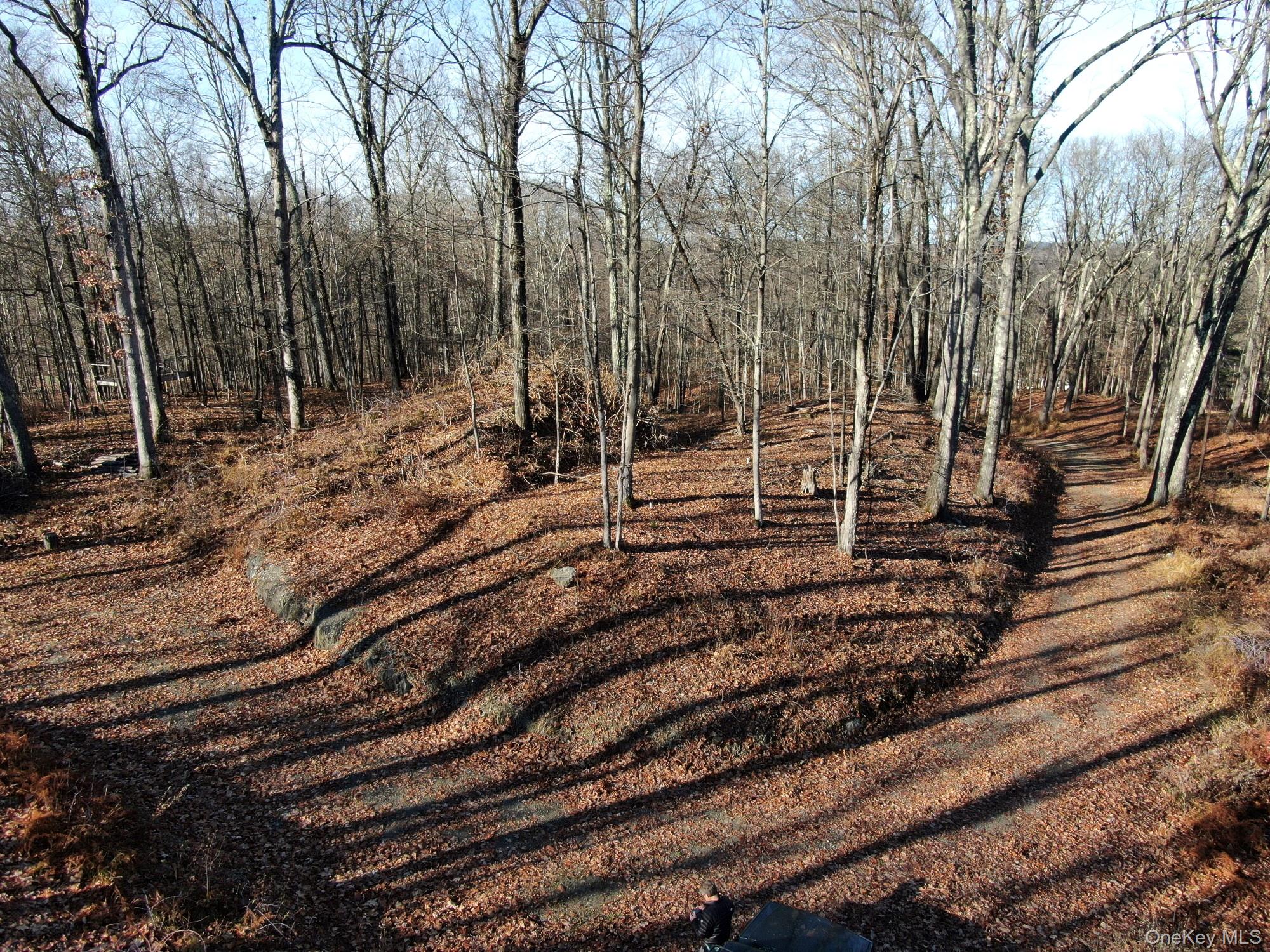 Electronics Road, Clinton Corners, NY 12514