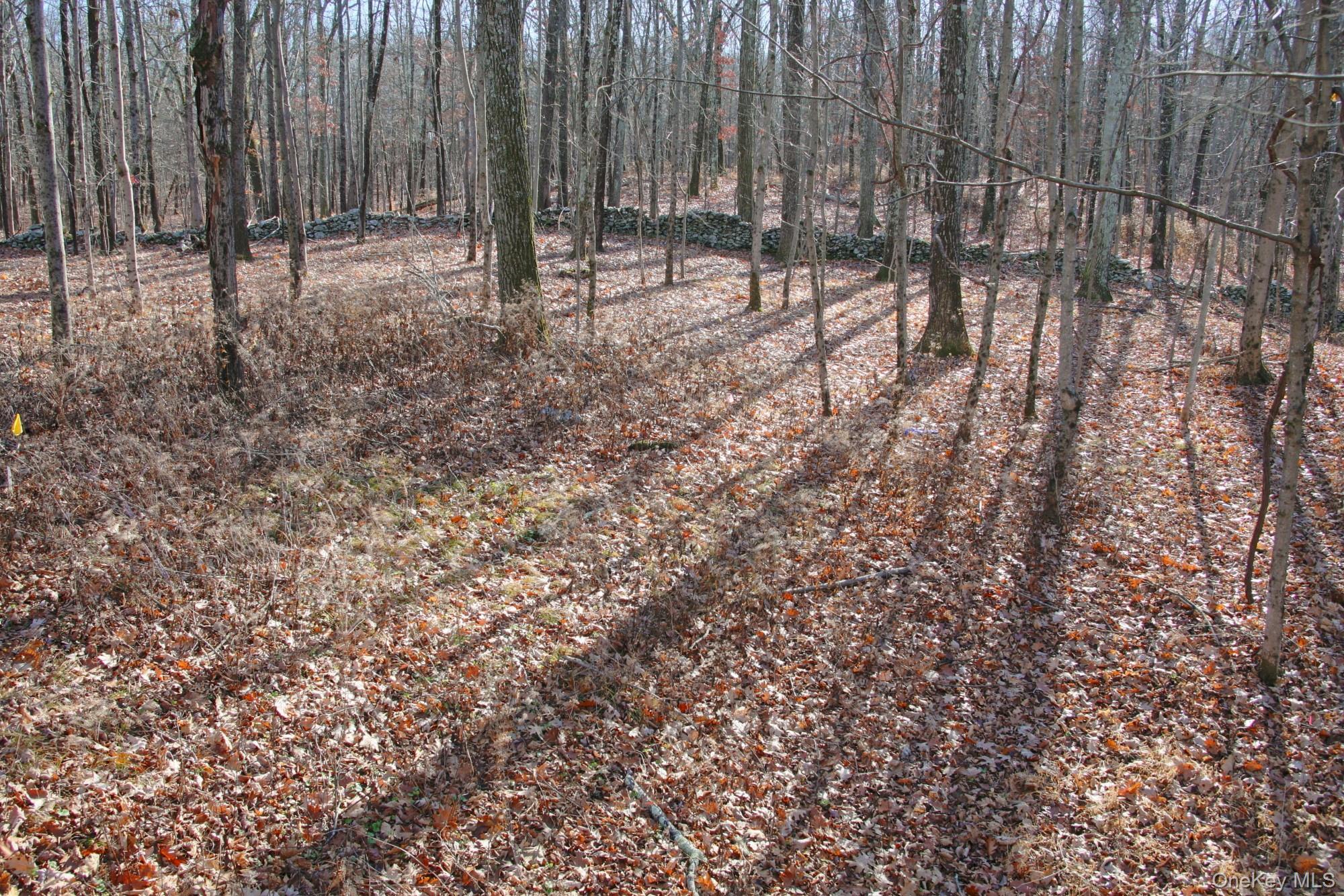 Electronics Road, Clinton Corners, NY 12514