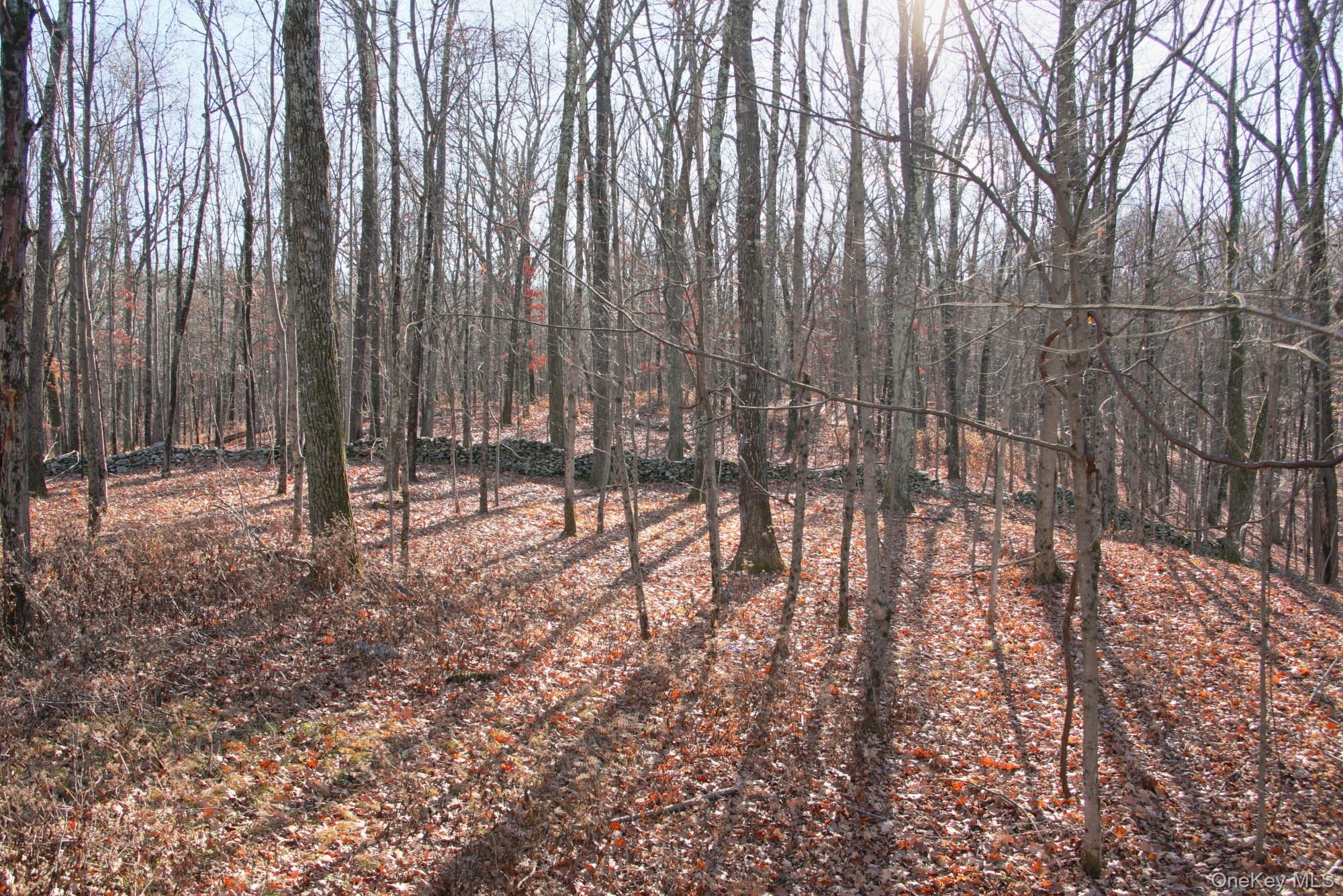 Electronics Road, Clinton Corners, NY 12514