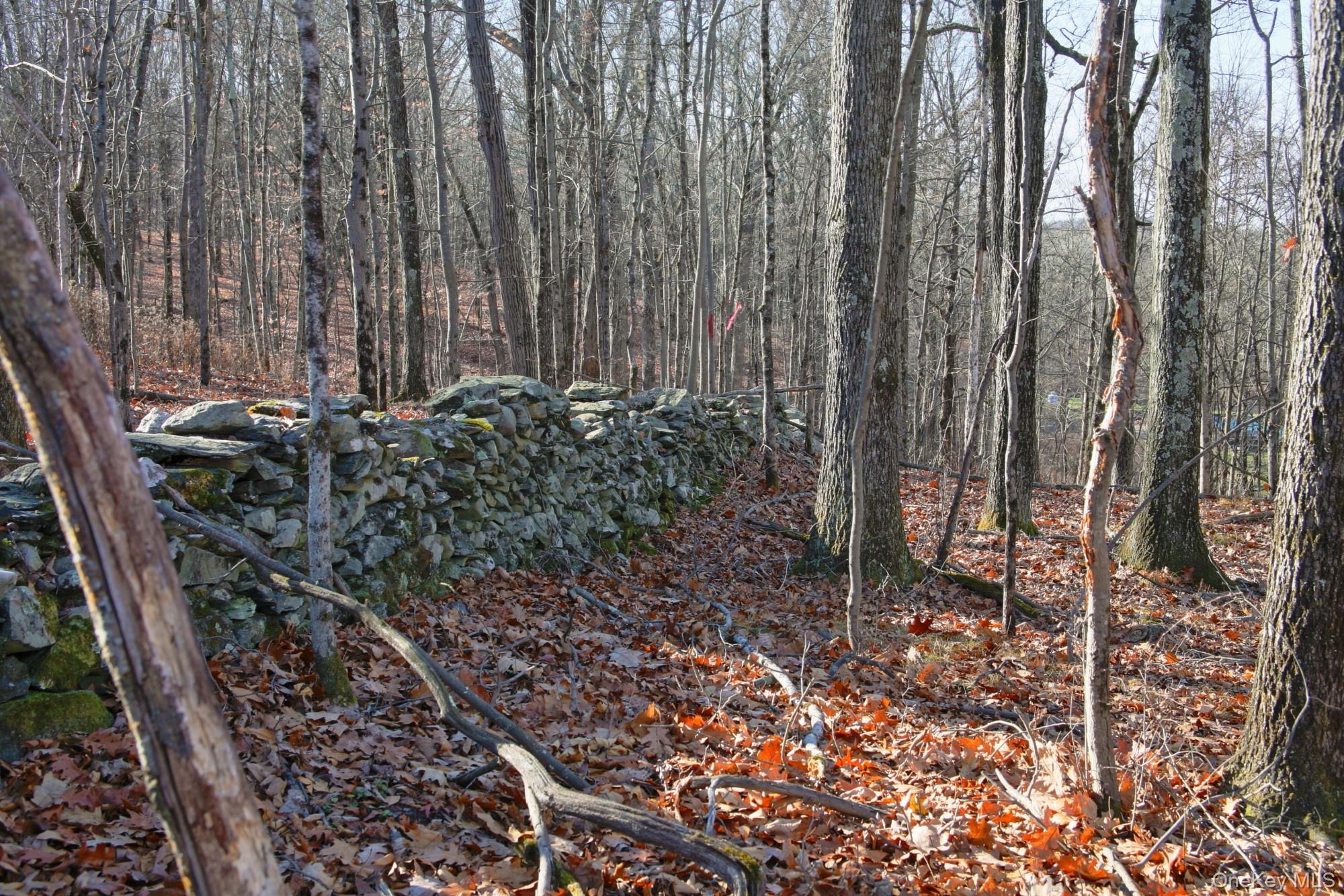 Electronics Road, Clinton Corners, NY 12514