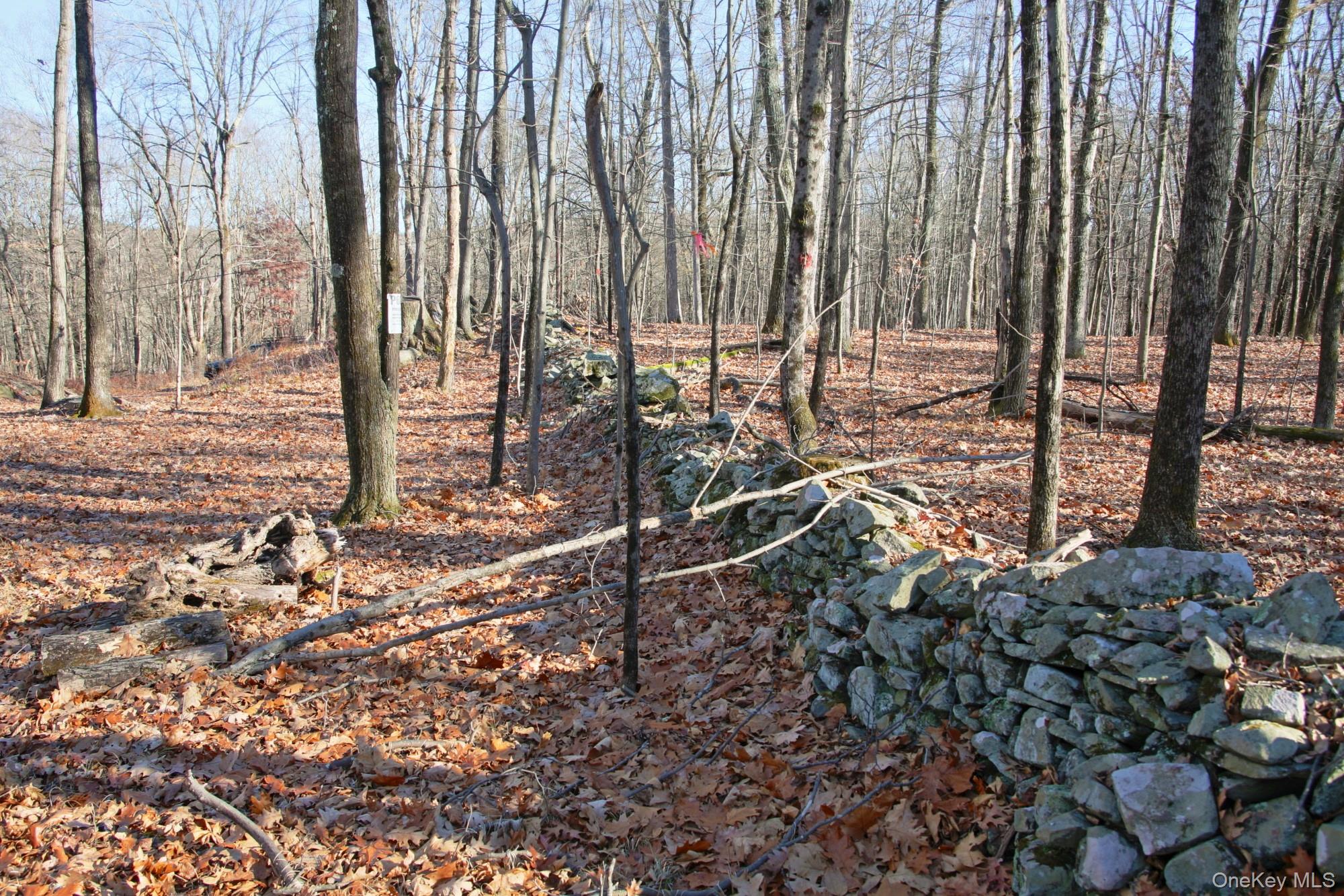 Electronics Road, Clinton Corners, NY 12514