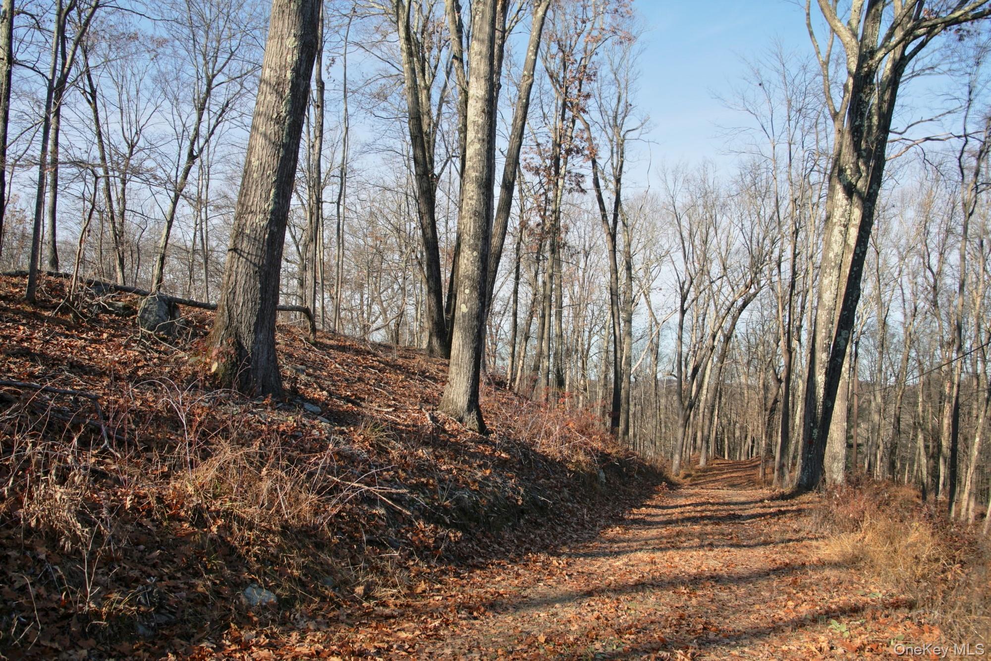 Electronics Road, Clinton Corners, NY 12514