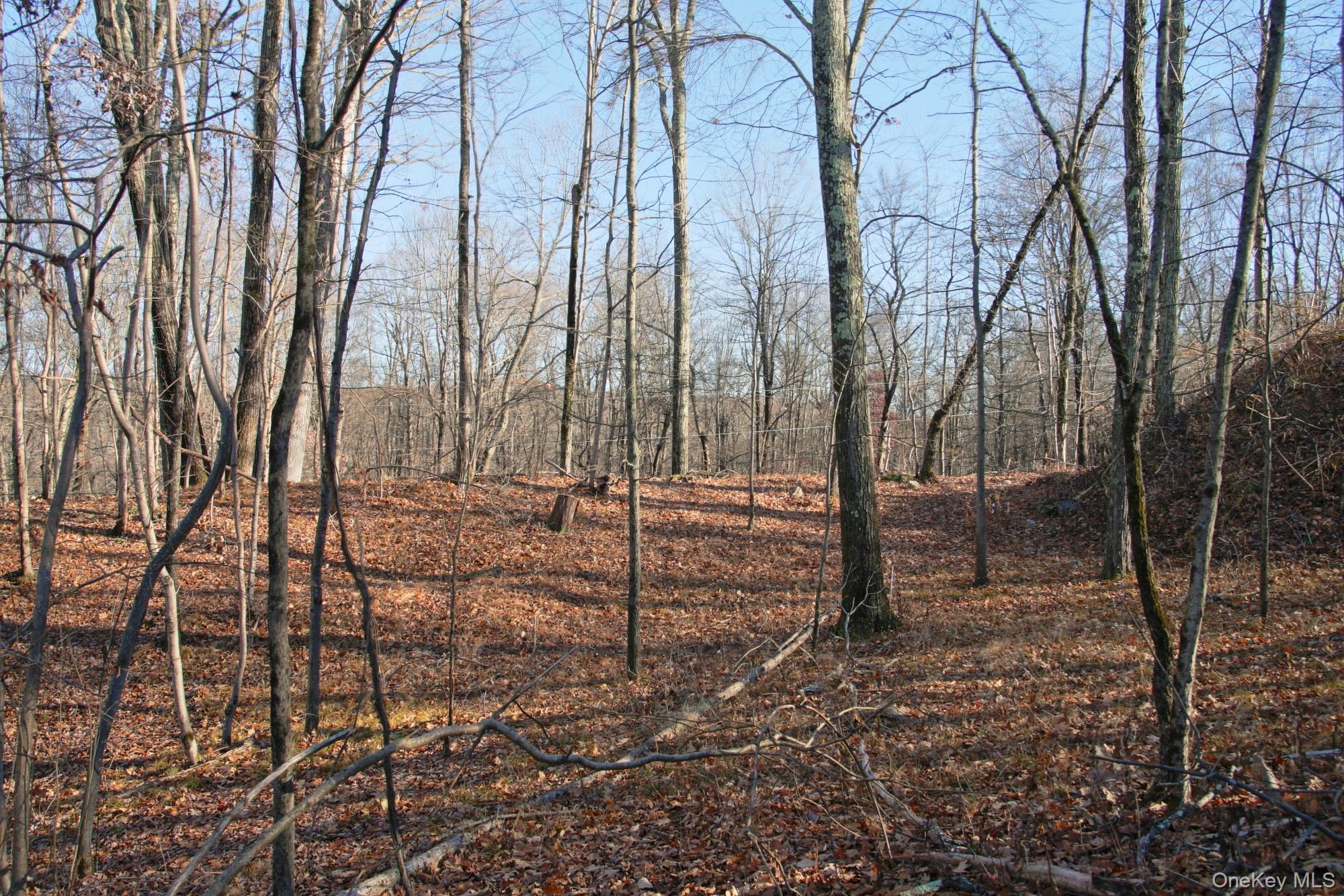 Electronics Road, Clinton Corners, NY 12514