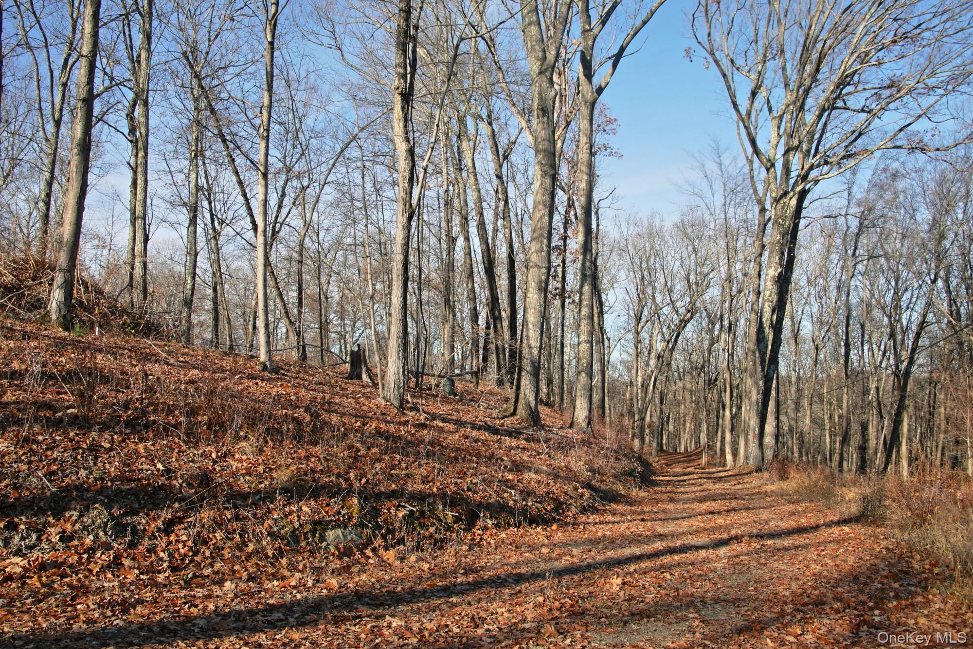 Electronics Road, Clinton Corners, NY 12514