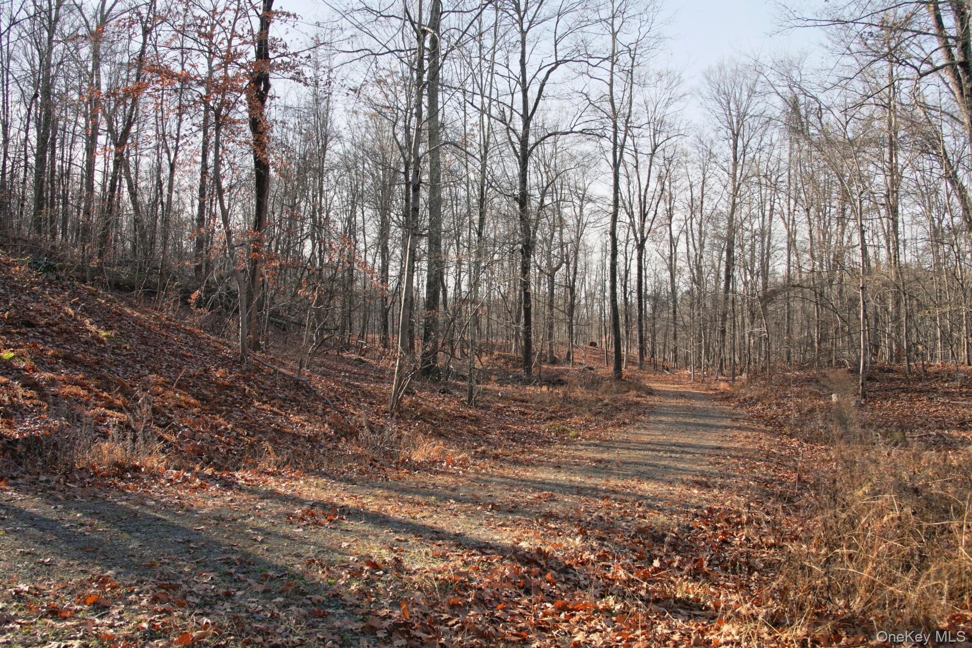 Electronics Road, Clinton Corners, NY 12514