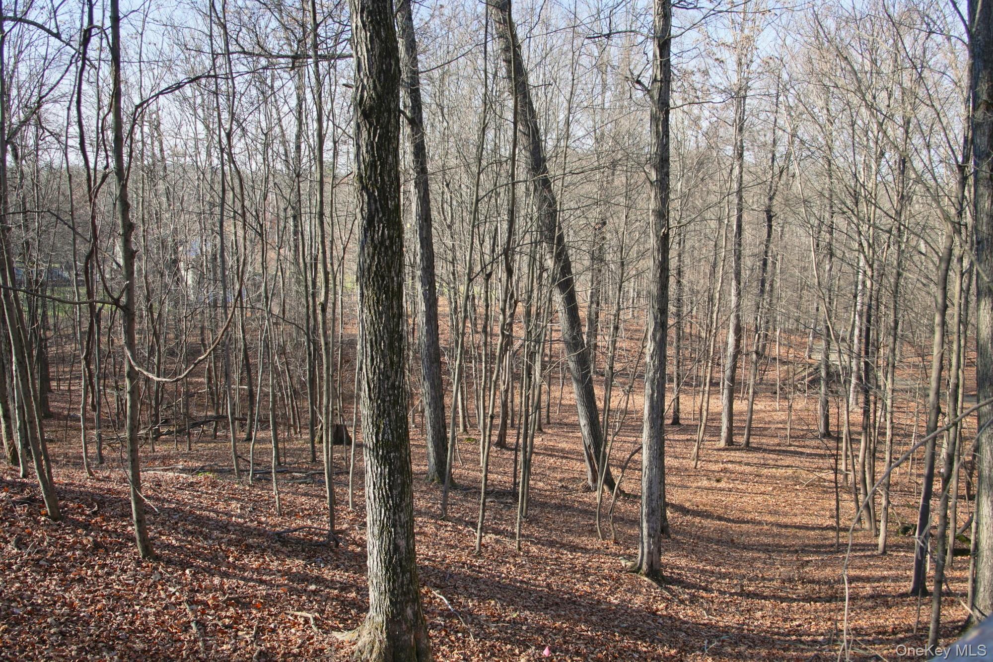 Electronics Road, Clinton Corners, NY 12514