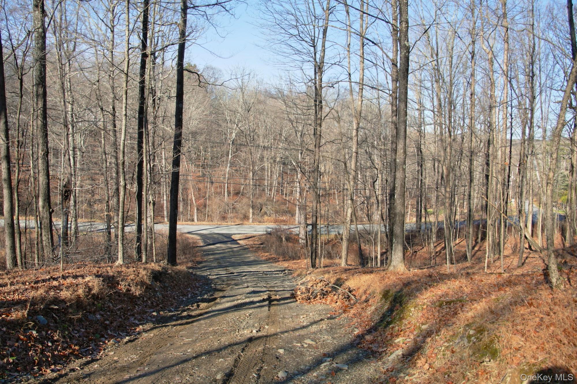 Electronics Road, Clinton Corners, NY 12514