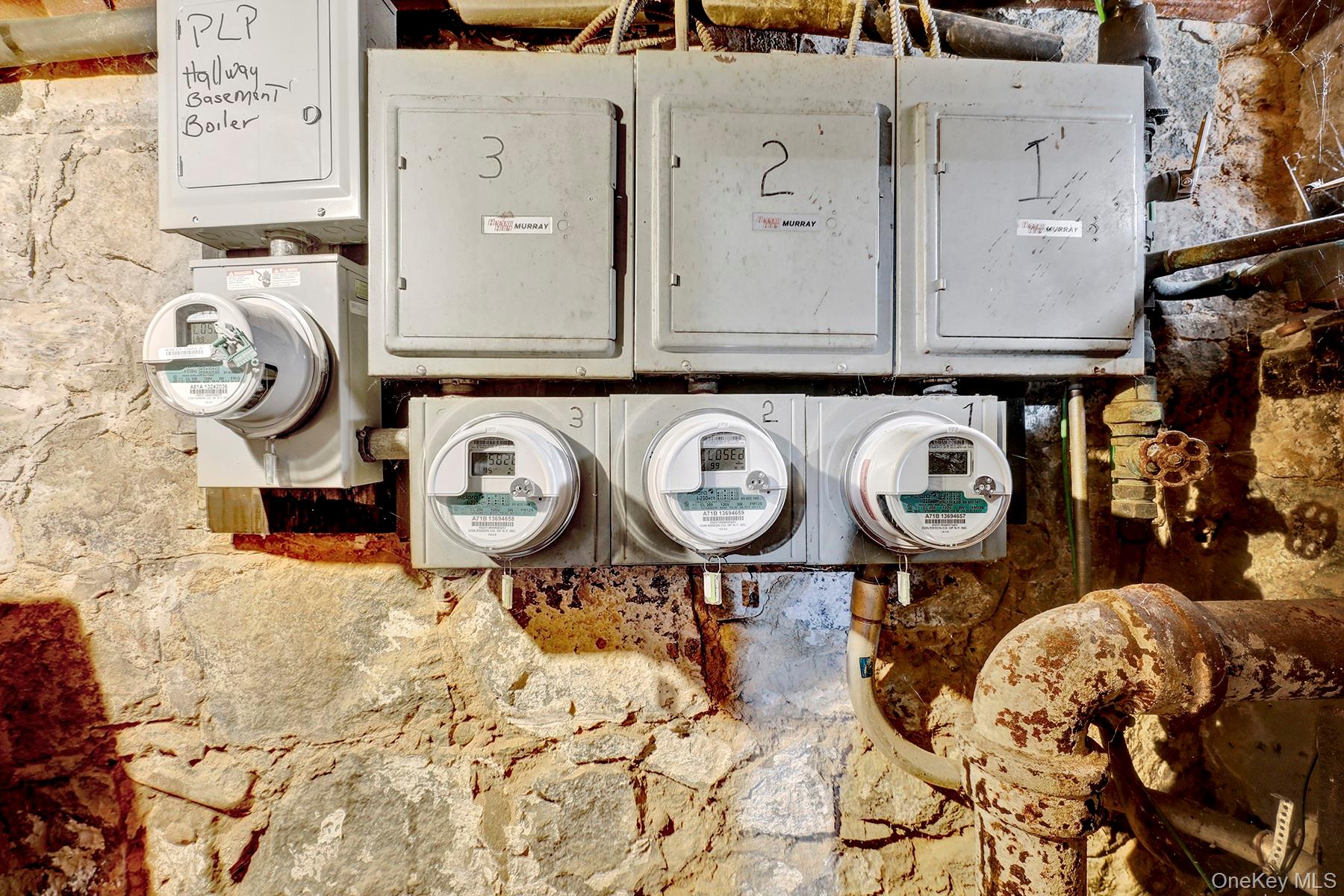 443 Marion Street, Brooklyn, NY 11233