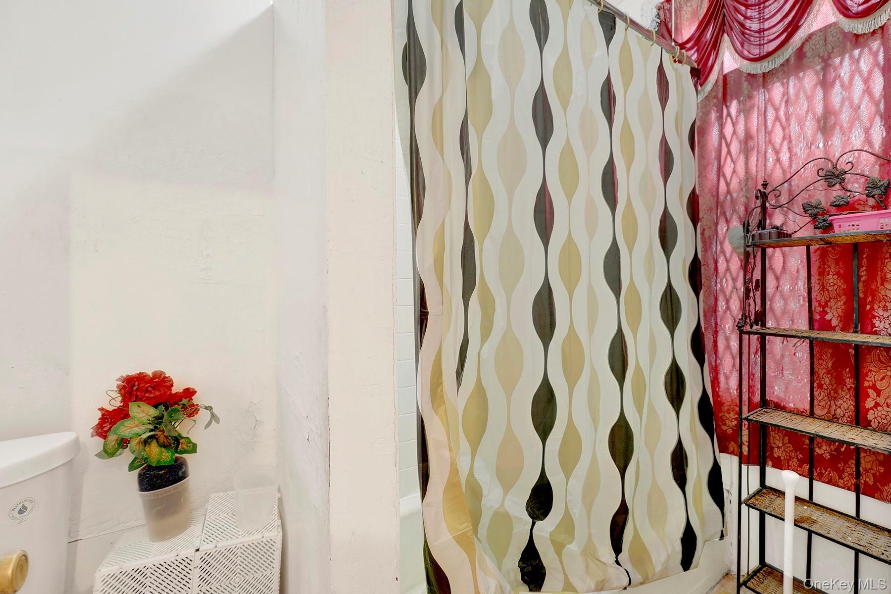 443 Marion Street, Brooklyn, NY 11233