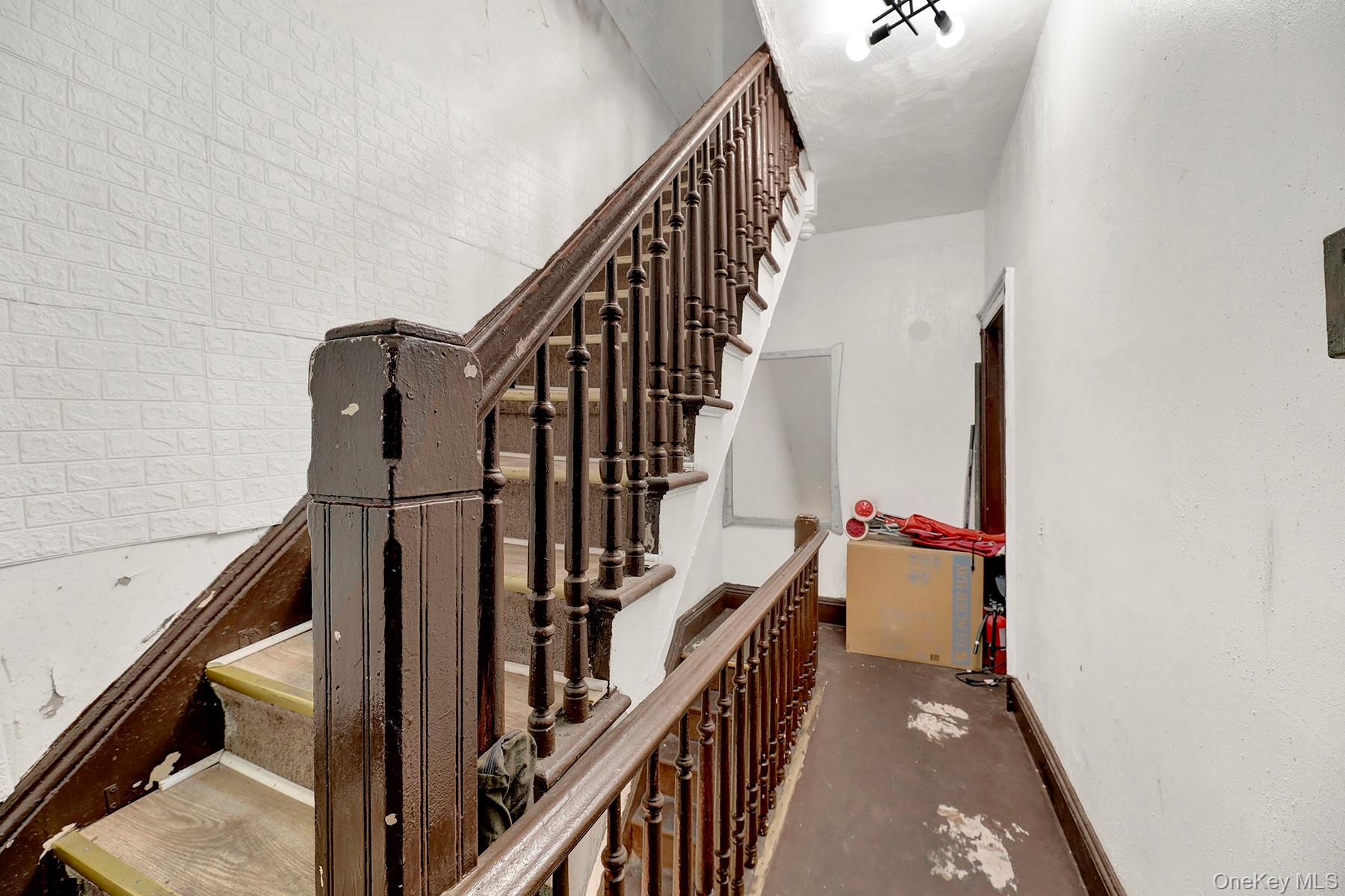 443 Marion Street, Brooklyn, NY 11233