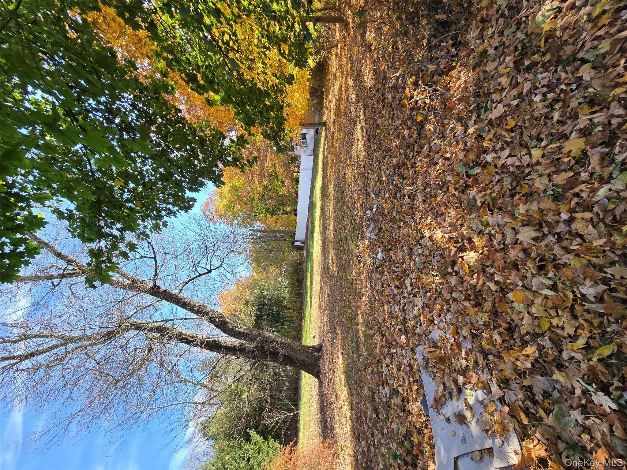 63 Viola Road, Montebello, NY 10901