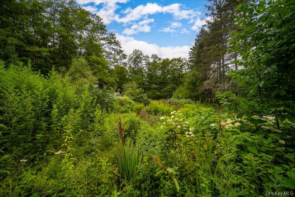 2 Couzines Road, Woodbourne, NY 12788