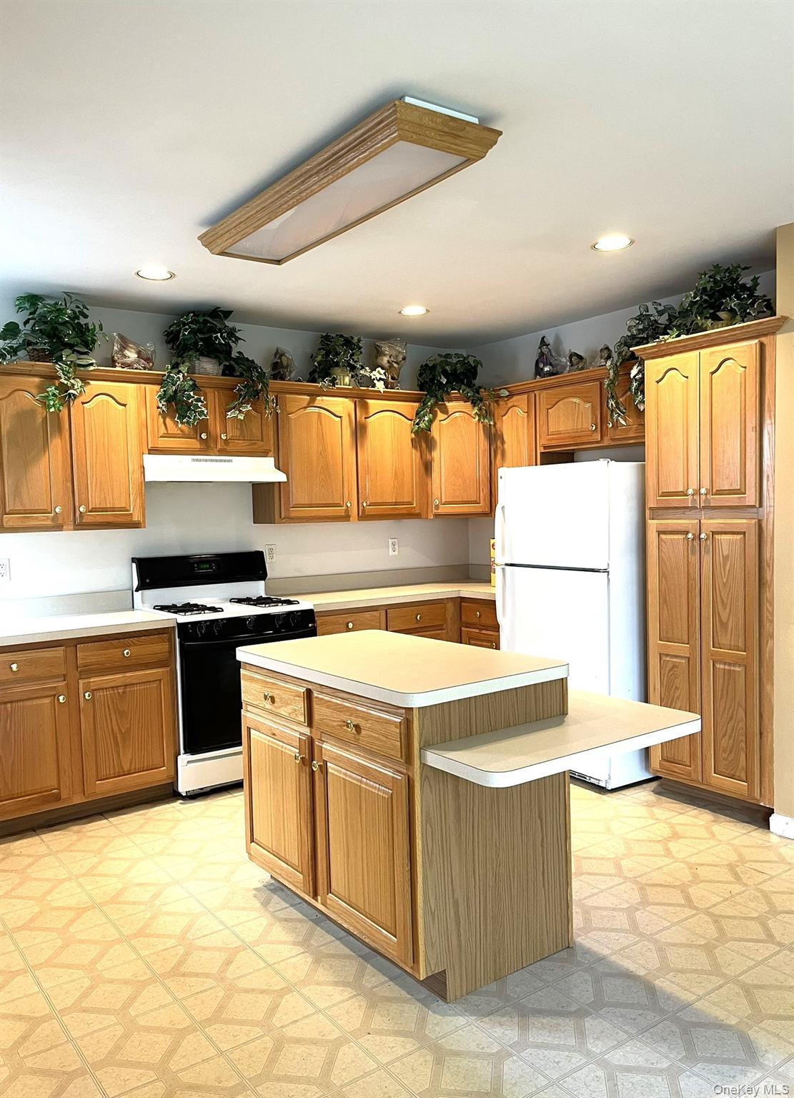 12 Sophia Drive, Middle Island, NY 11953