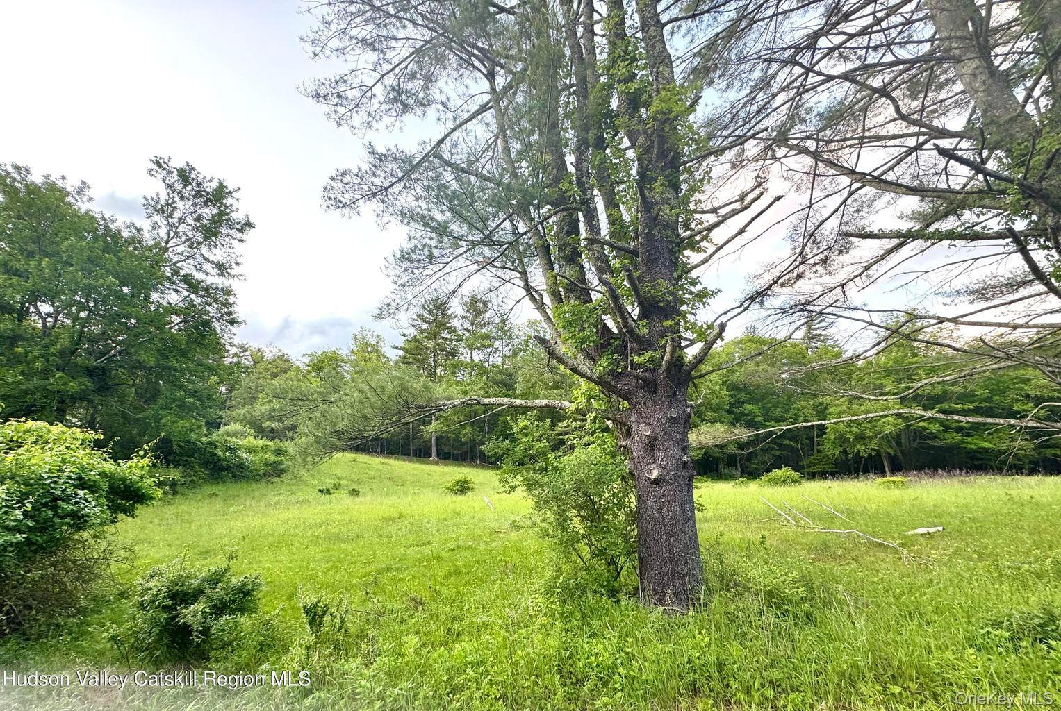 258 Watson Hollow Road, West Shokan, NY 12494