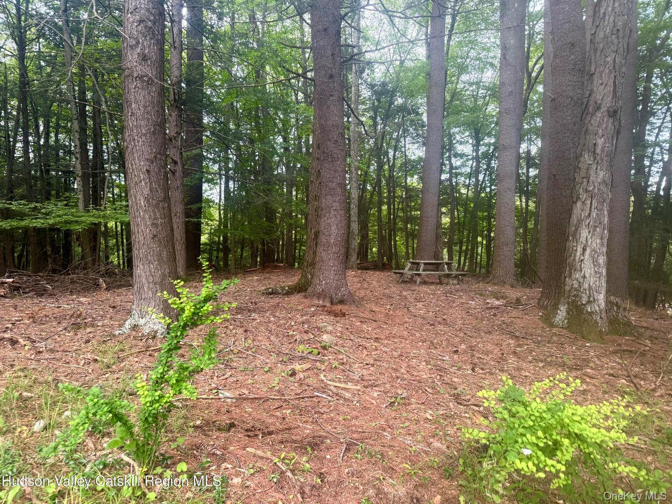 258 Watson Hollow Road, West Shokan, NY 12494