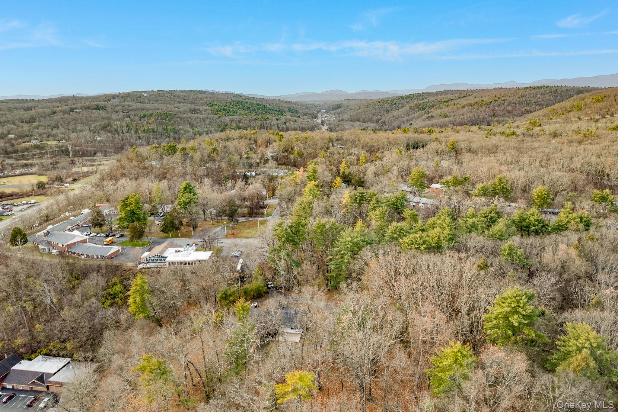 233 Forest Hill Drive, Kingston, NY 12401