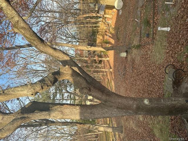 147 Pauls Path, Coram, NY 11727