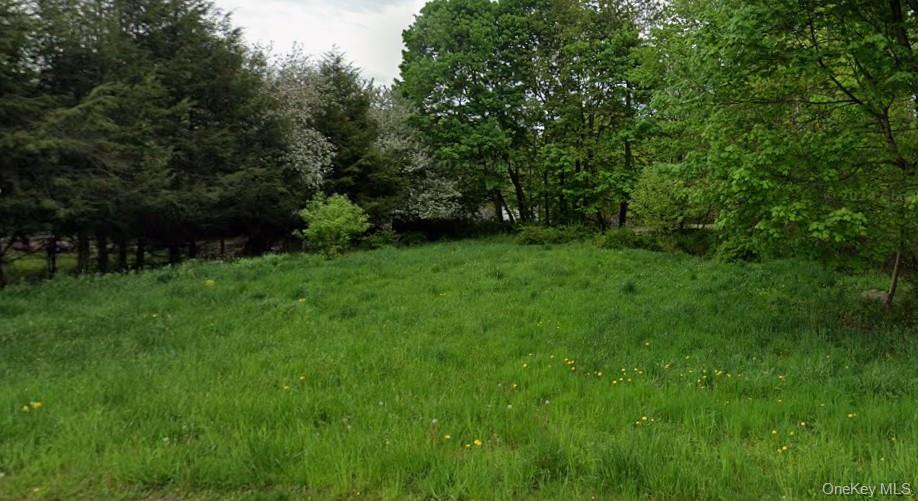 Floral Drive, Monticello, NY 12701