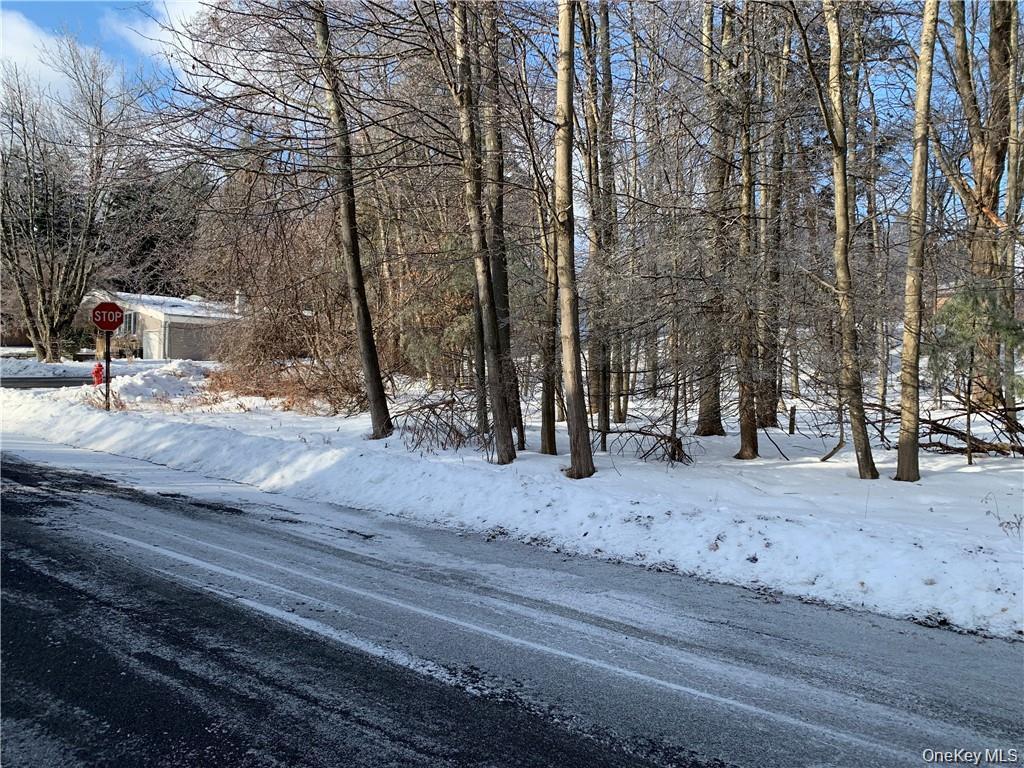 Floral Drive, Monticello, NY 12701