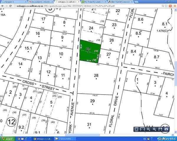 Floral Drive, Monticello, NY 12701