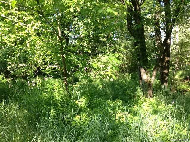 Floral Drive, Monticello, NY 12701